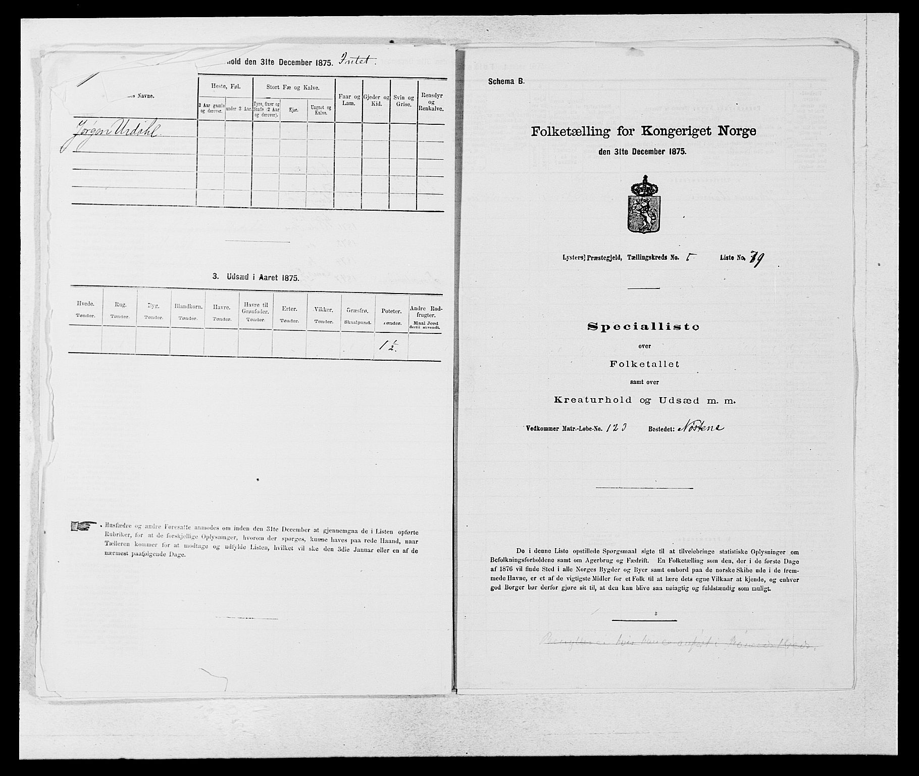 SAB, 1875 census for 1426P Luster, 1875, p. 931