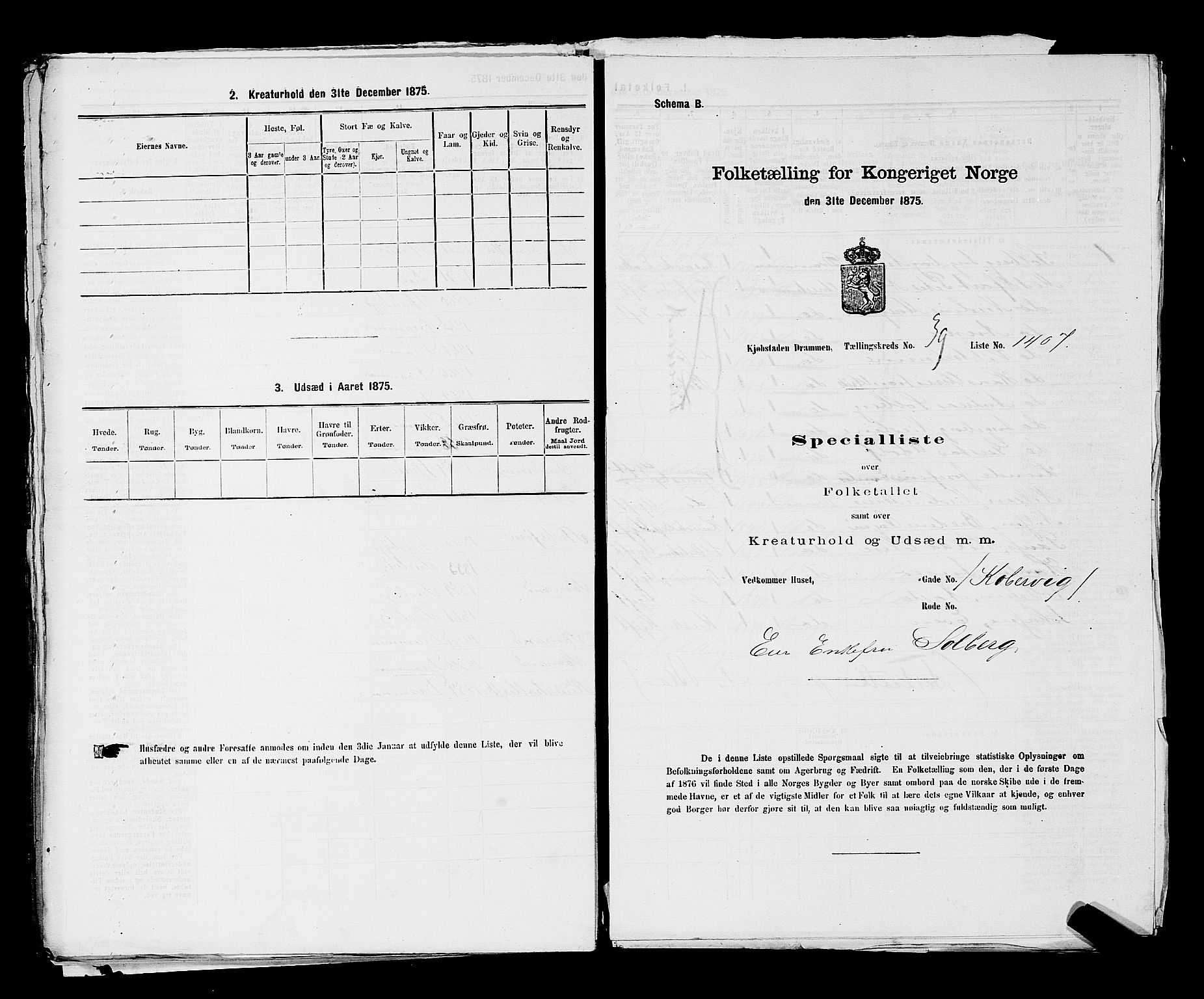 SAKO, 1875 census for 0602 Drammen, 1875, p. 3366