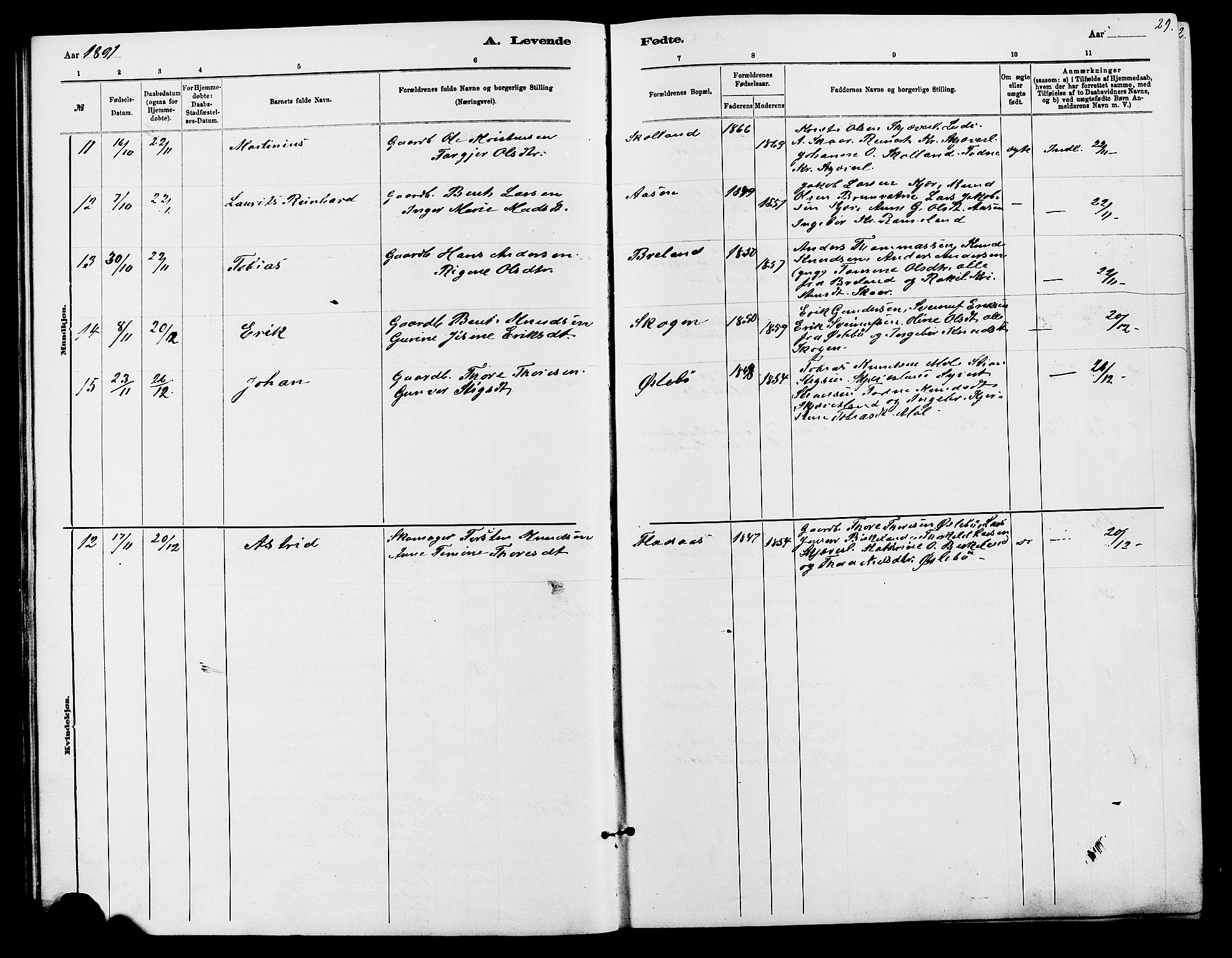 Holum sokneprestkontor, AV/SAK-1111-0022/F/Fb/Fbc/L0003: Parish register (copy) no. B 3, 1882-1908, p. 29