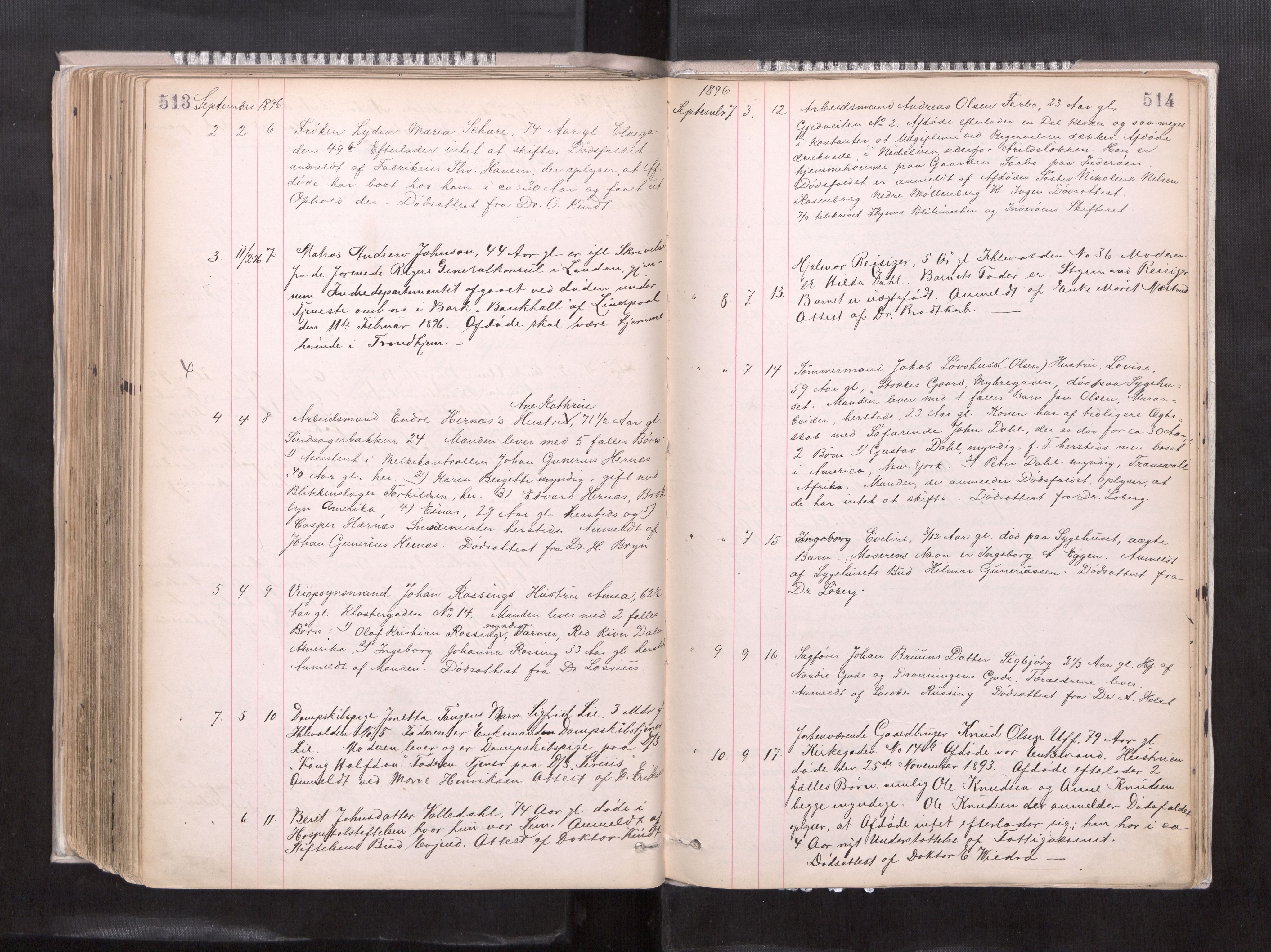 Trondheim byfogd, AV/SAT-A-0003/1/3/3L/L0004: Dødsanmeldelsesprotokoll, 1891-1897, p. 513-514