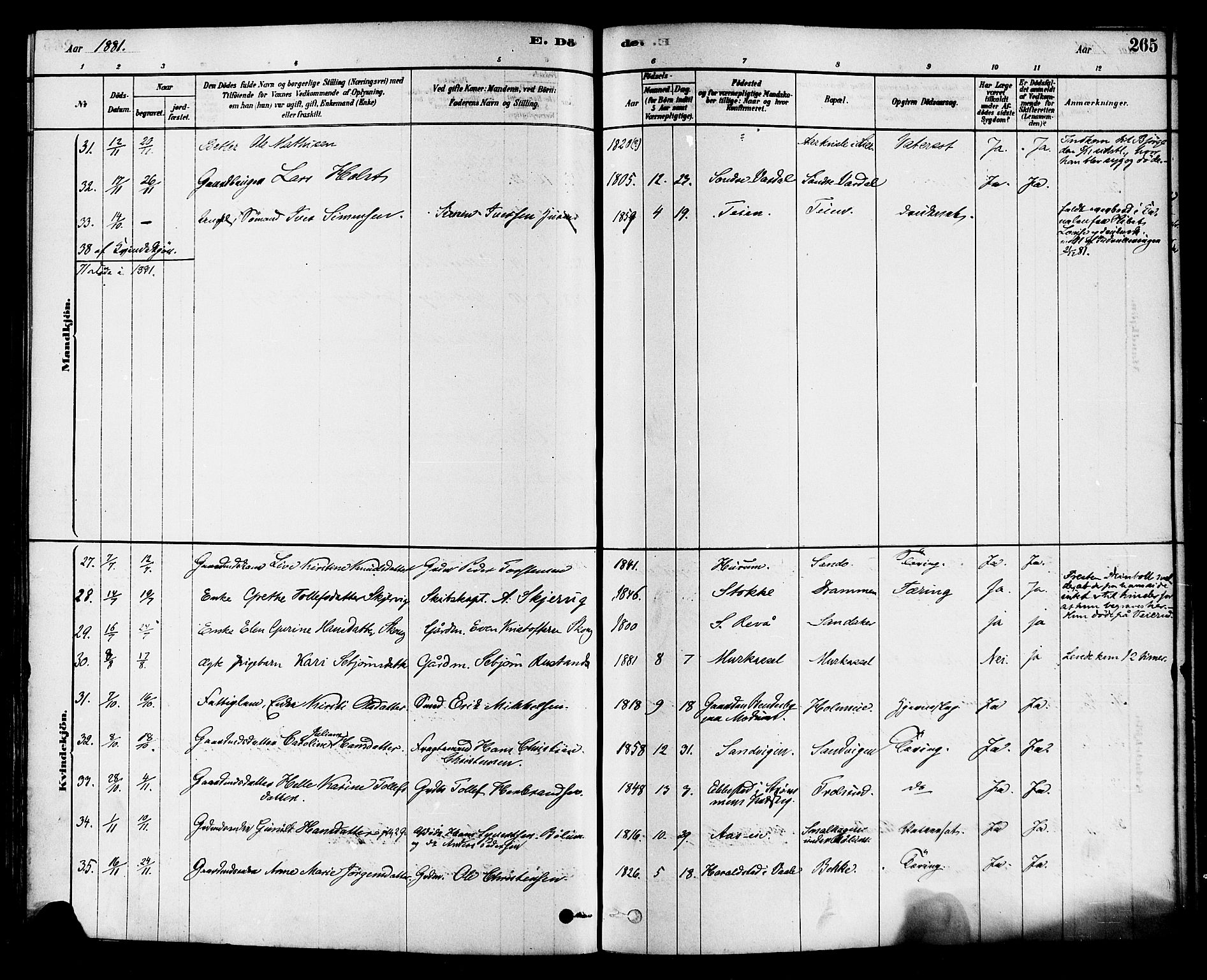 Sande Kirkebøker, AV/SAKO-A-53/F/Fa/L0006: Parish register (official) no. 6, 1878-1888, p. 265