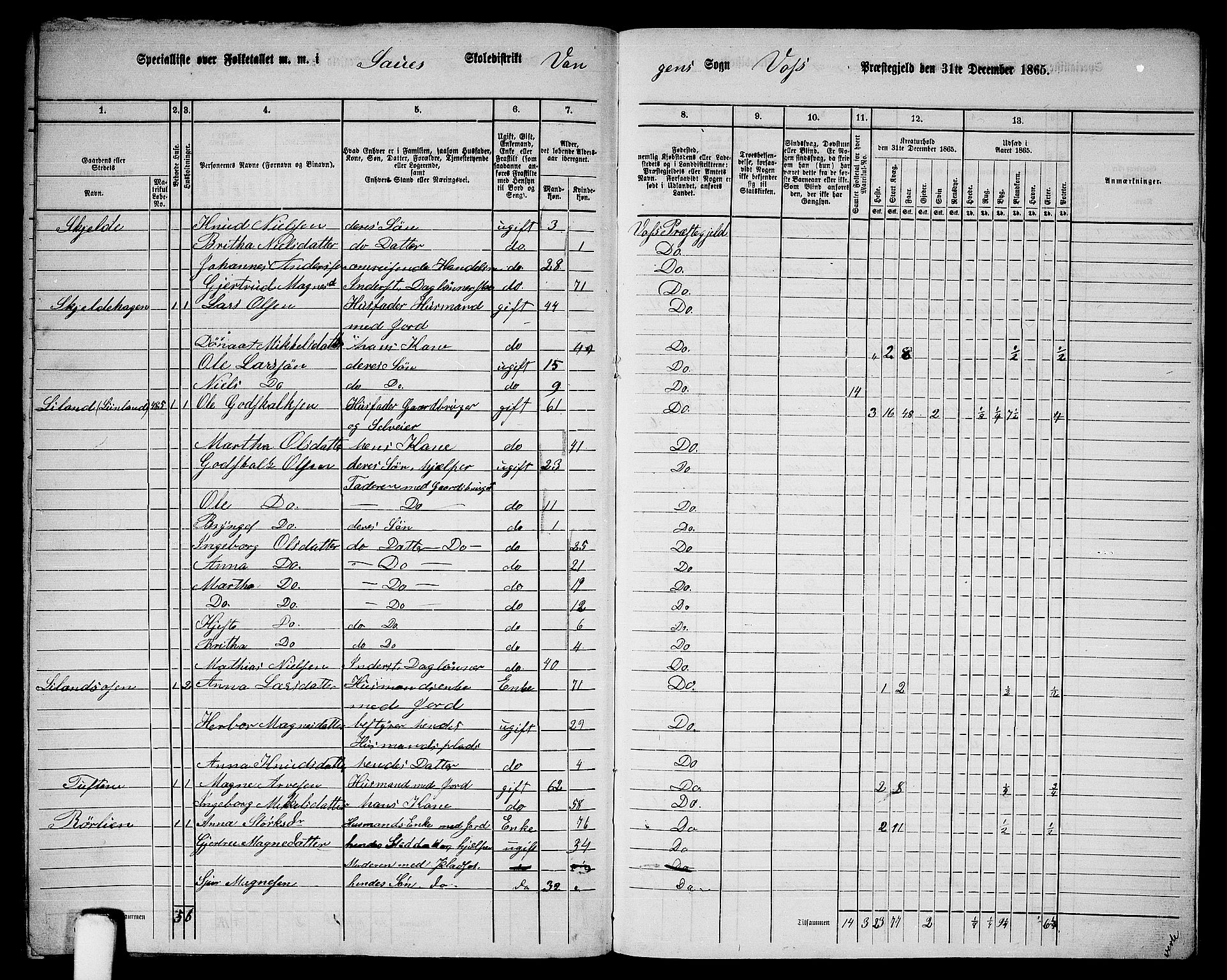 RA, 1865 census for Voss, 1865, p. 218