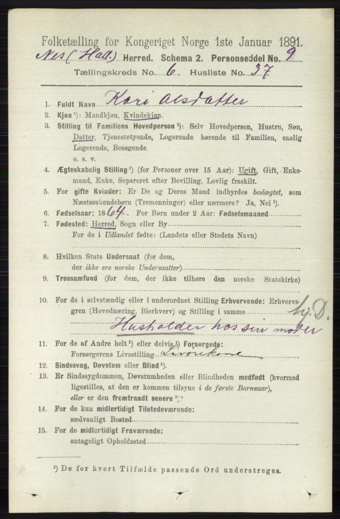 RA, 1891 census for 0616 Nes, 1891, p. 3252