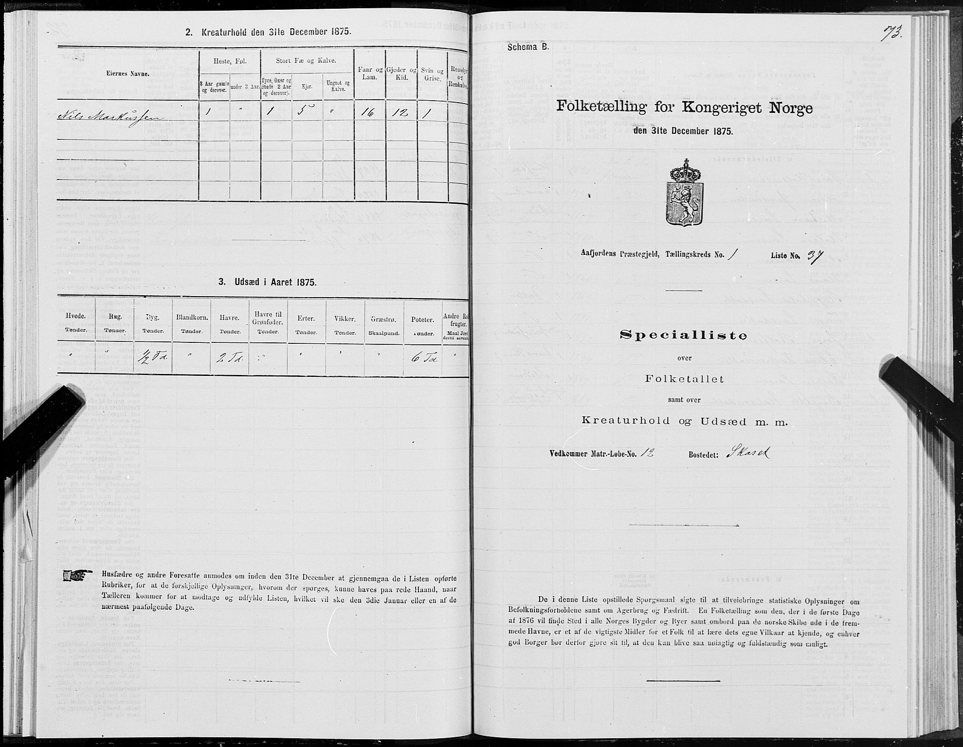 SAT, 1875 census for 1630P Aafjorden, 1875, p. 1073