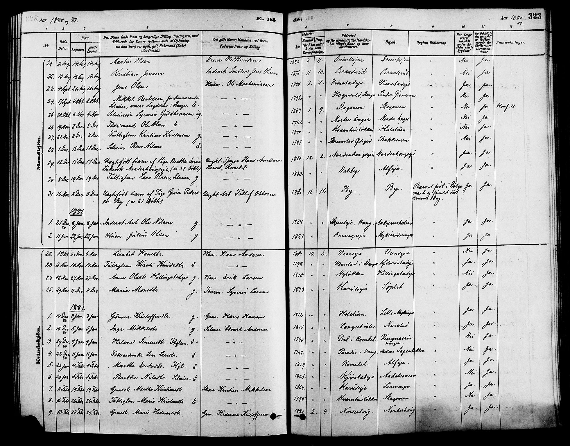 Løten prestekontor, AV/SAH-PREST-022/K/Ka/L0009: Parish register (official) no. 9, 1878-1891, p. 323