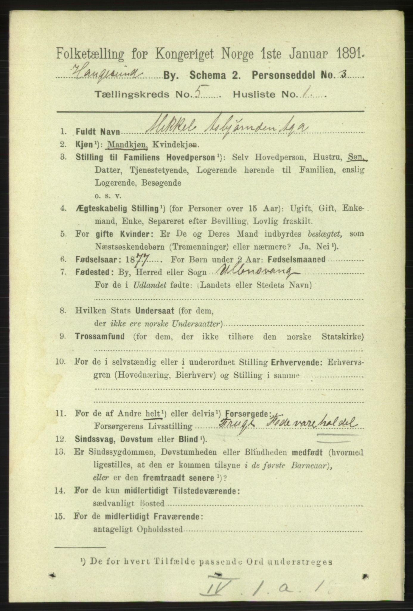 RA, 1891 census for 1106 Haugesund, 1891, p. 1935