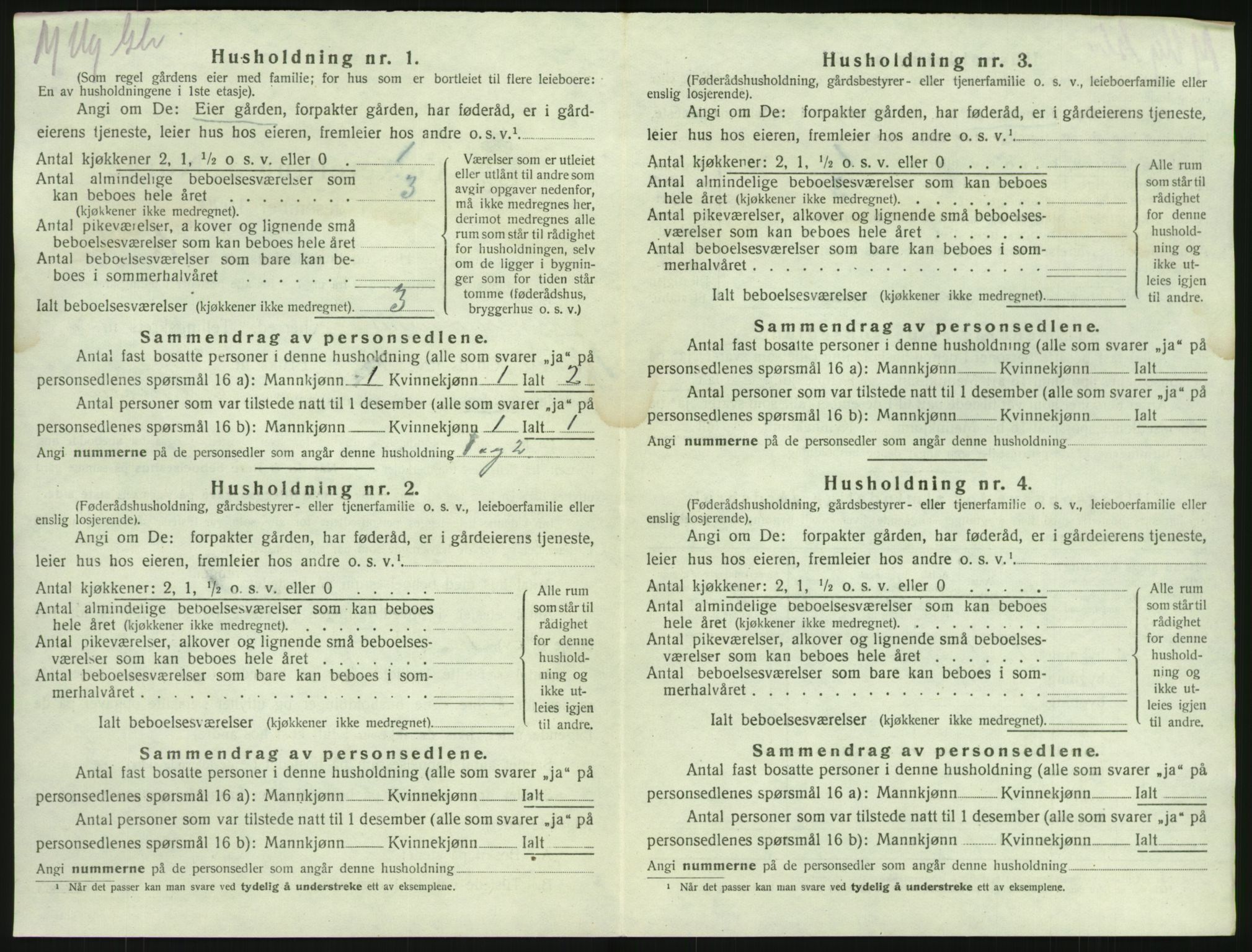 SAKO, 1920 census for Brunlanes, 1920, p. 856