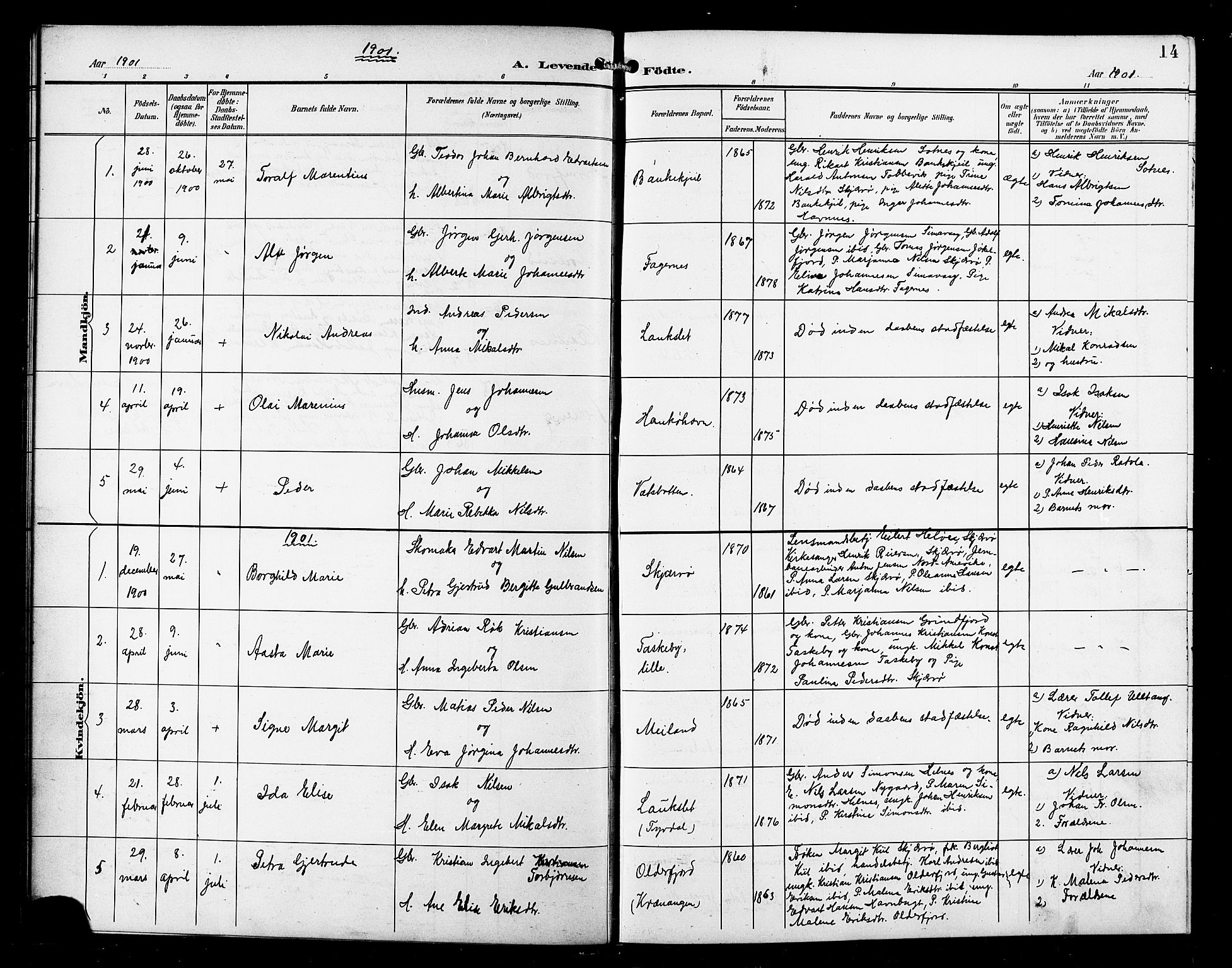 Skjervøy sokneprestkontor, AV/SATØ-S-1300/H/Ha/Hab/L0008klokker: Parish register (copy) no. 8, 1900-1910, p. 14