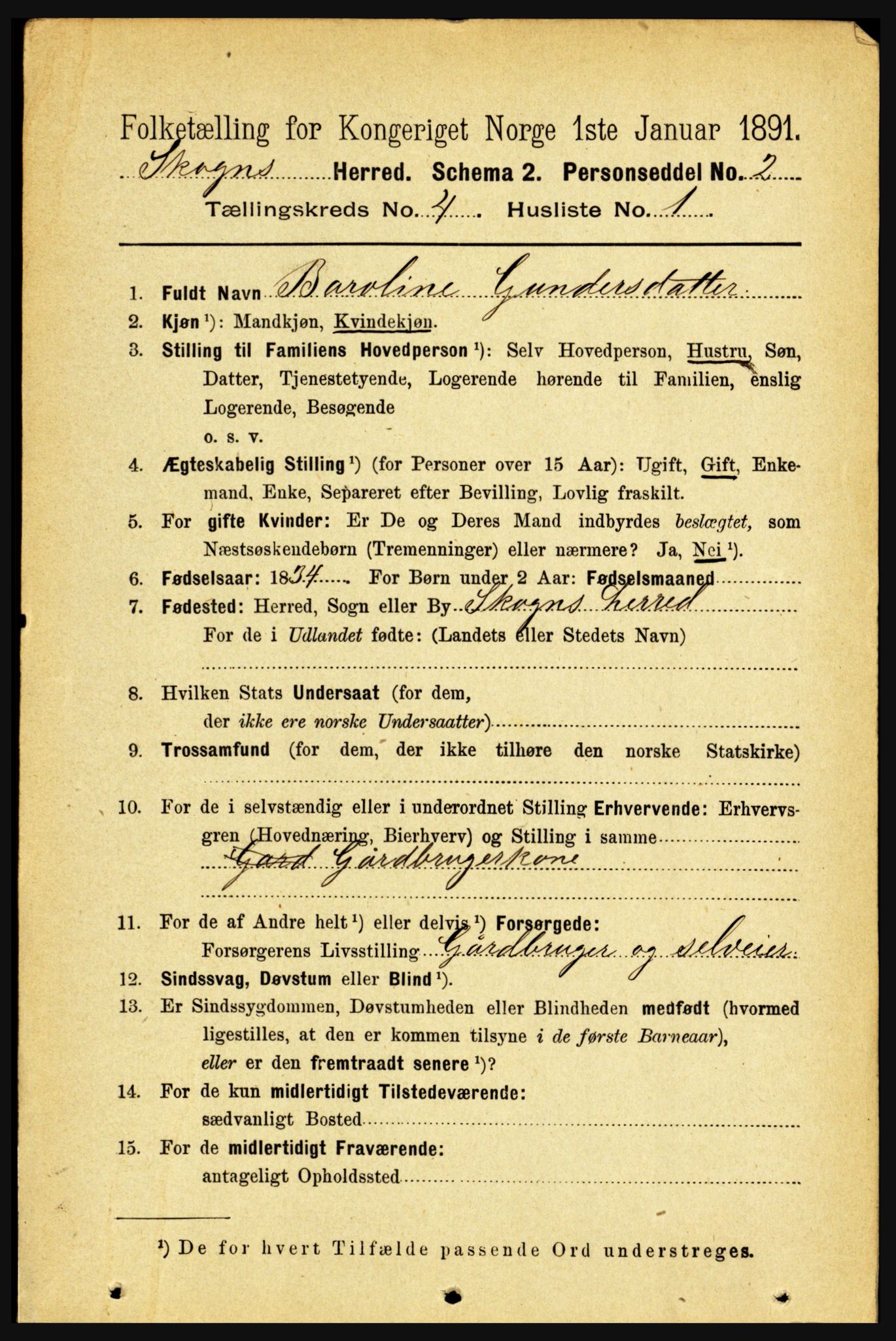 RA, 1891 census for 1719 Skogn, 1891, p. 2360