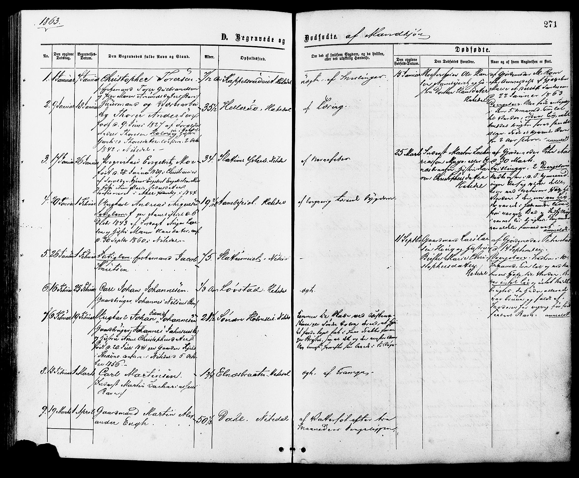 Nittedal prestekontor Kirkebøker, SAO/A-10365a/F/Fa/L0006: Parish register (official) no. I 6, 1863-1878, p. 271