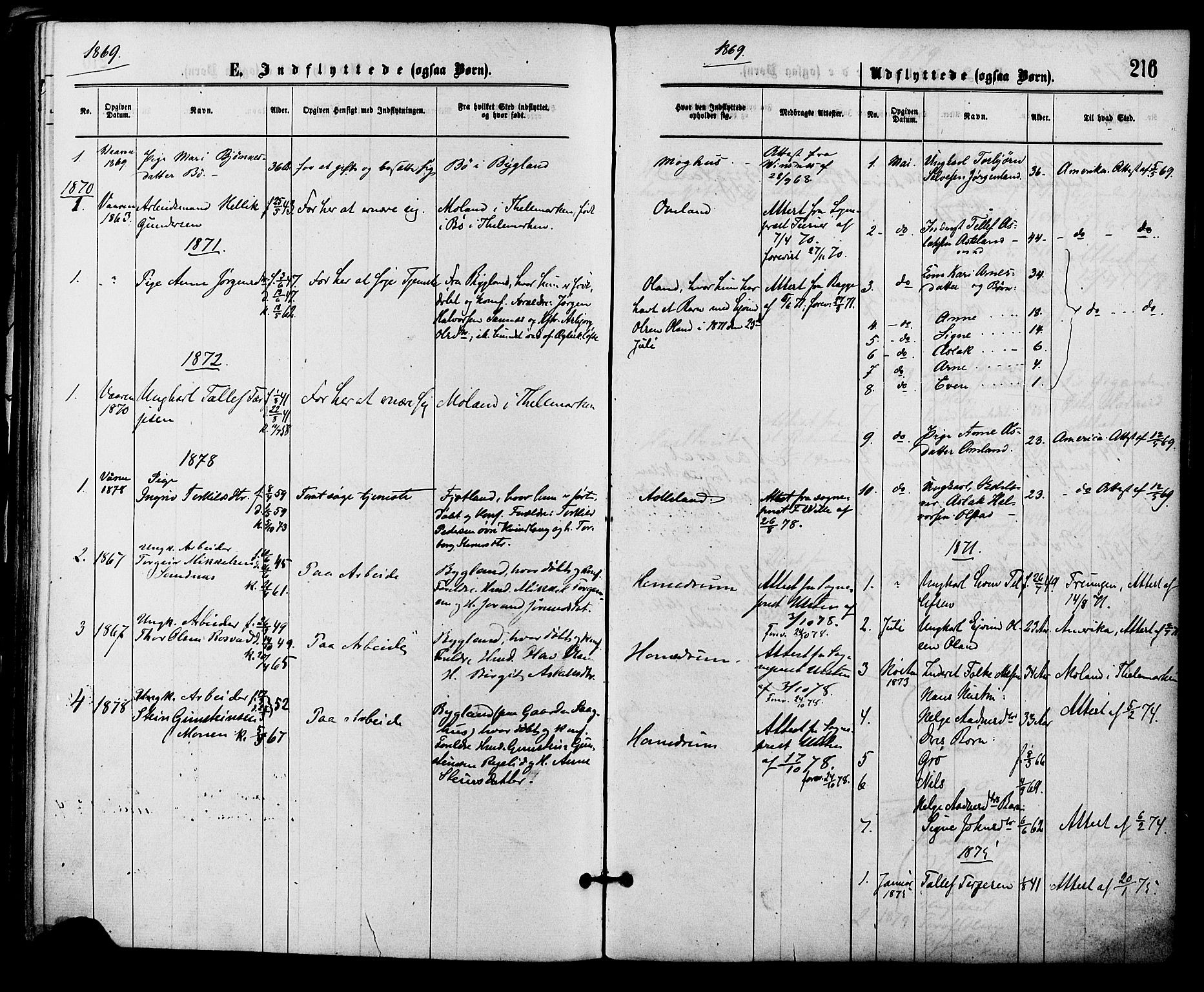 Åmli sokneprestkontor, SAK/1111-0050/F/Fa/Fac/L0009: Parish register (official) no. A 9 /2, 1869-1884, p. 216