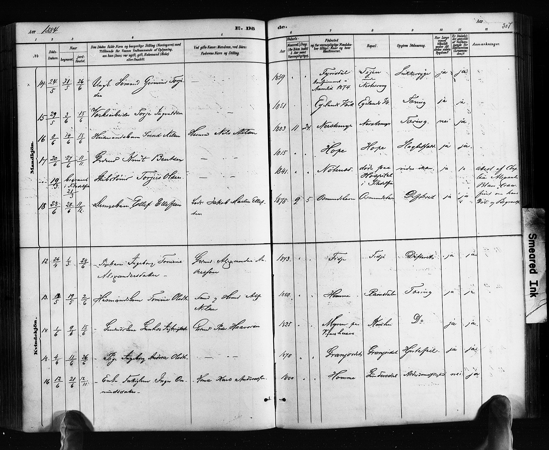 Søndeled sokneprestkontor, SAK/1111-0038/F/Fa/L0004: Parish register (official) no. A 4, 1880-1889, p. 307