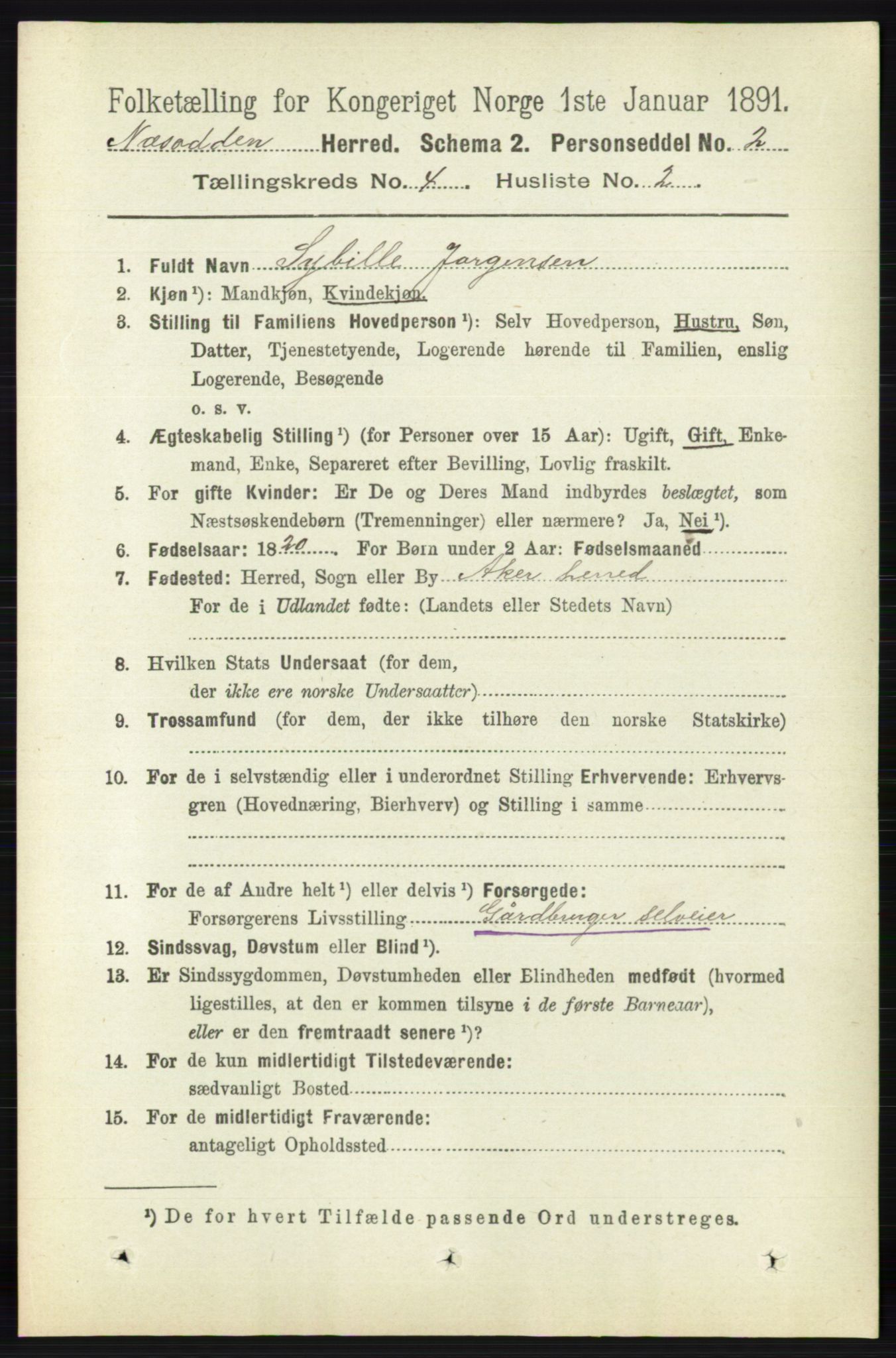 RA, 1891 census for 0216 Nesodden, 1891, p. 1696