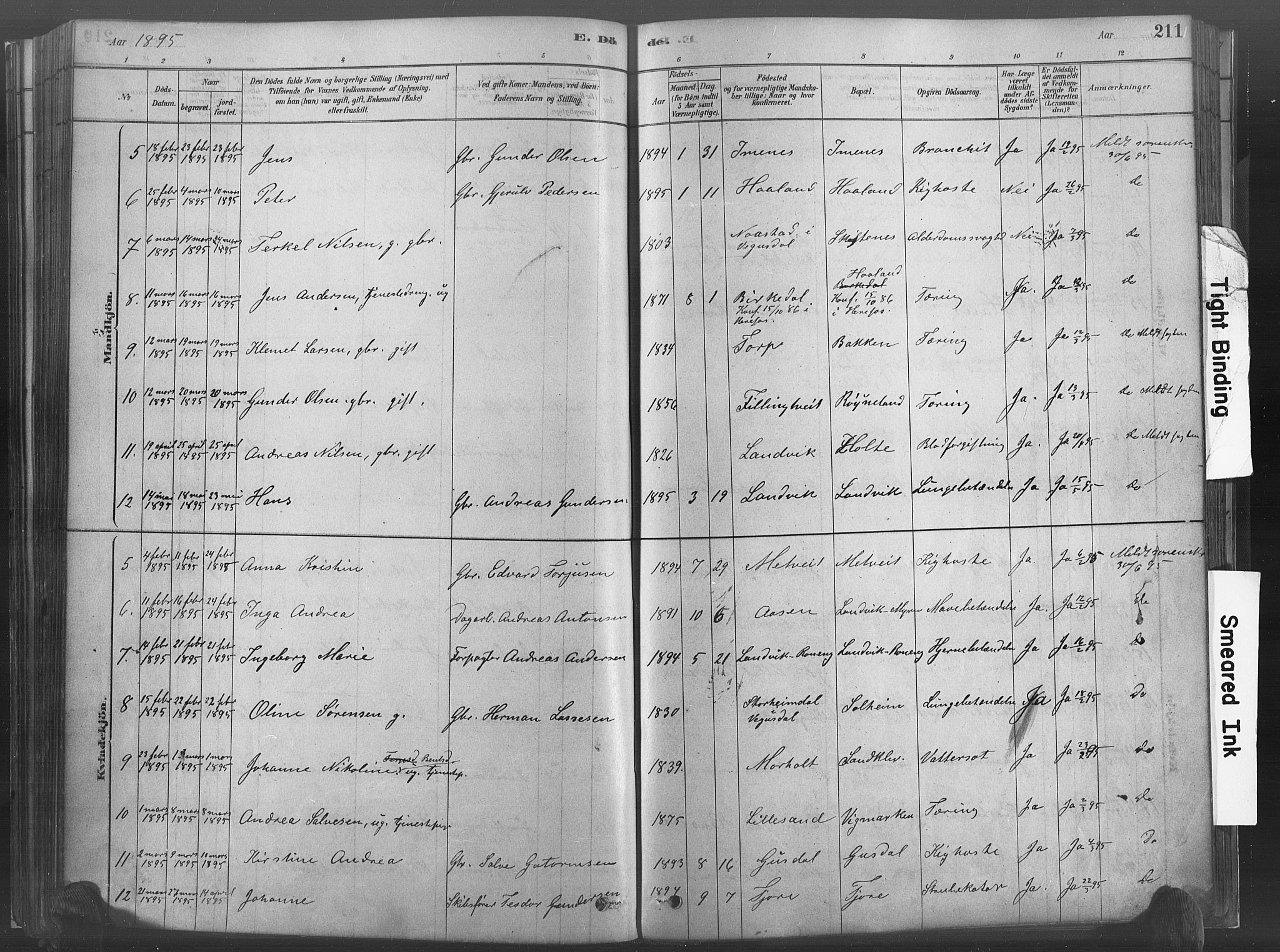 Hommedal sokneprestkontor, SAK/1111-0023/F/Fa/Fab/L0006: Parish register (official) no. A 6, 1878-1897, p. 211