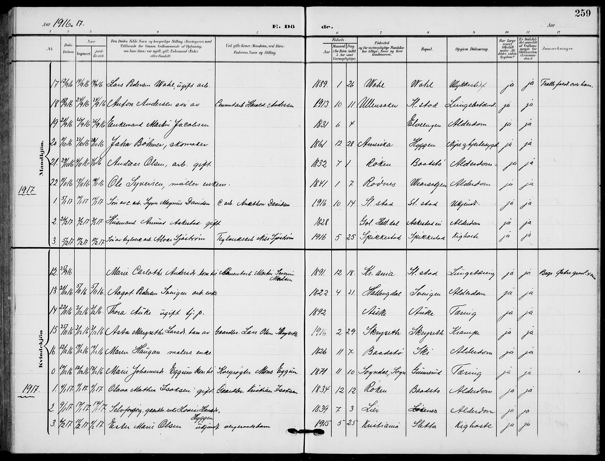 Røyken kirkebøker, AV/SAKO-A-241/G/Ga/L0005: Parish register (copy) no. 5, 1903-1918, p. 259