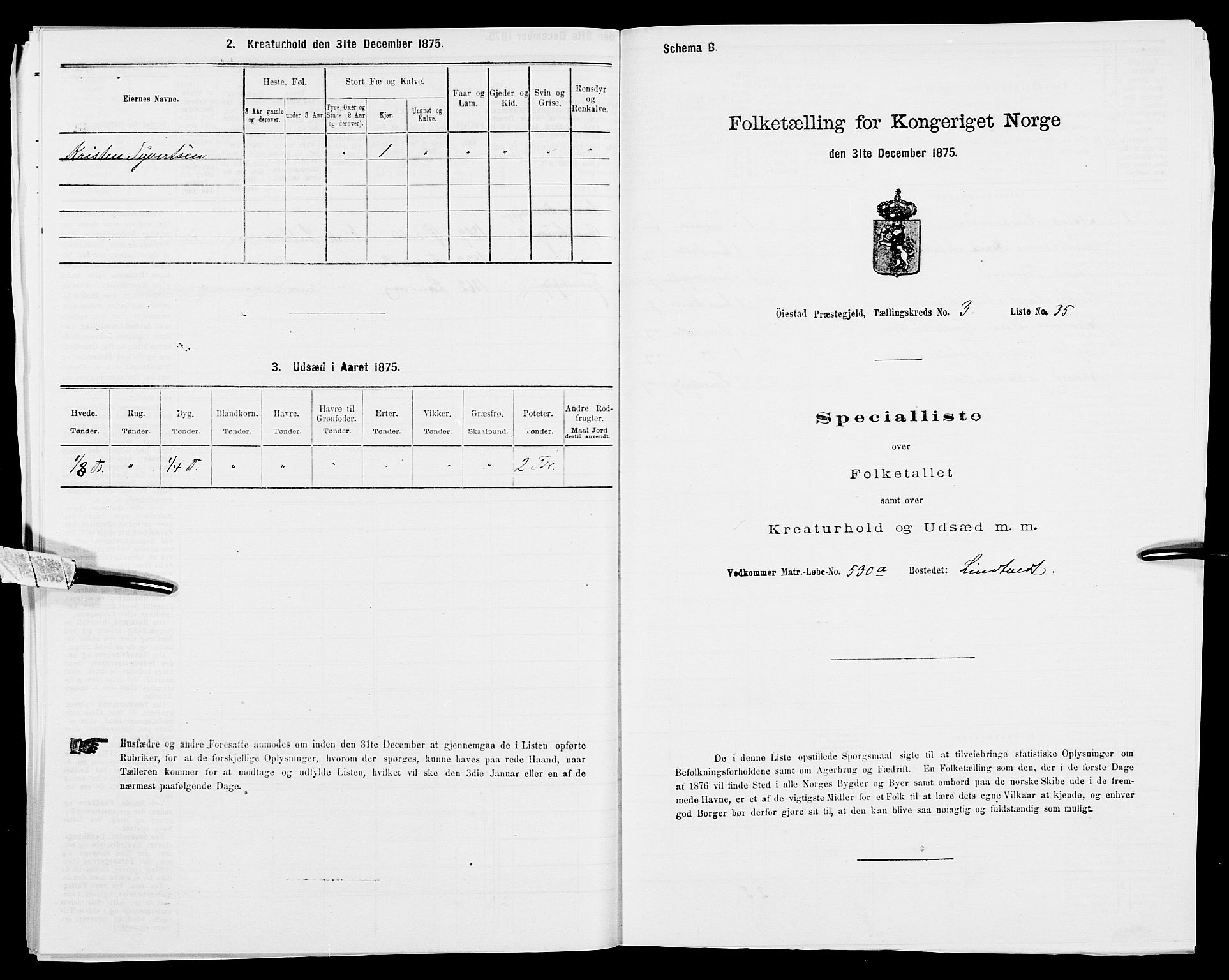 SAK, 1875 census for 0920P Øyestad, 1875, p. 387