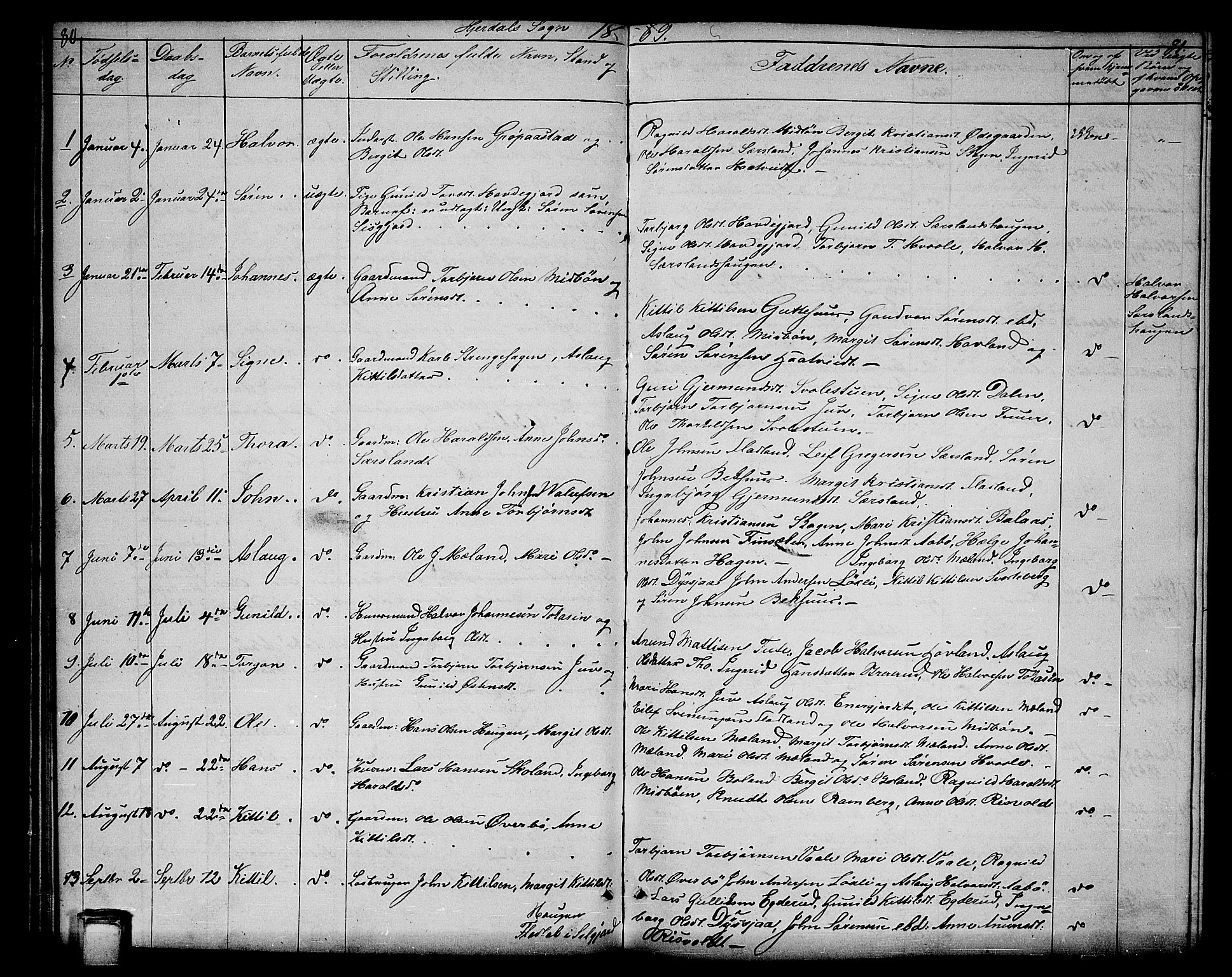 Hjartdal kirkebøker, SAKO/A-270/G/Ga/L0002: Parish register (copy) no. I 2, 1854-1888, p. 80-81