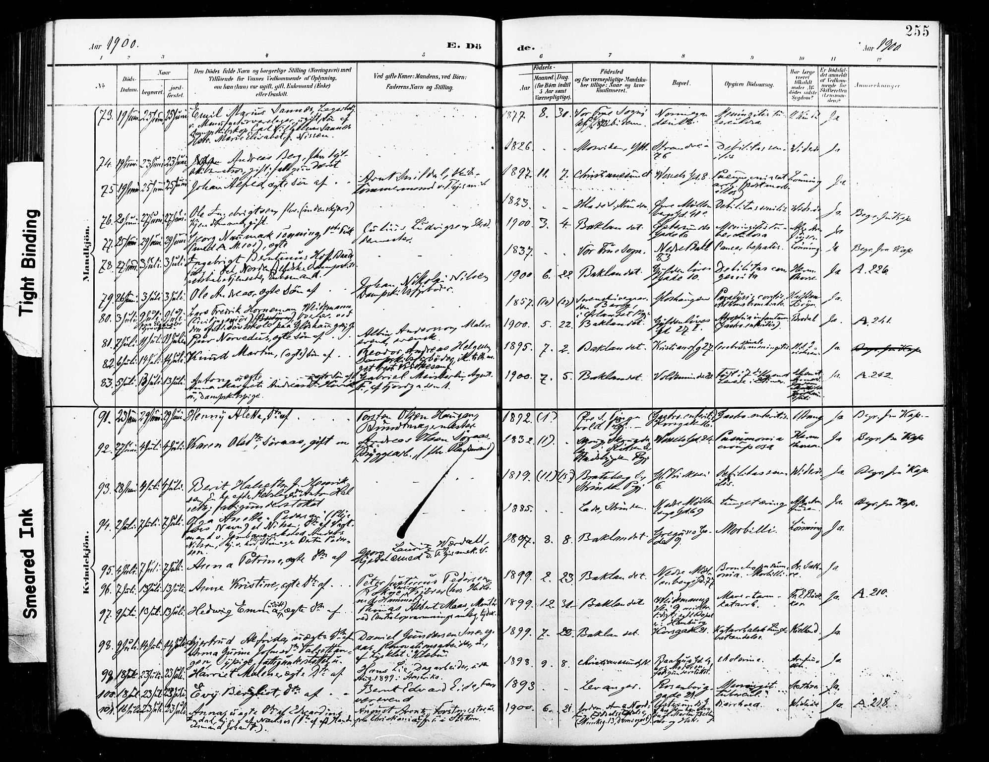 Ministerialprotokoller, klokkerbøker og fødselsregistre - Sør-Trøndelag, SAT/A-1456/604/L0198: Parish register (official) no. 604A19, 1893-1900, p. 255