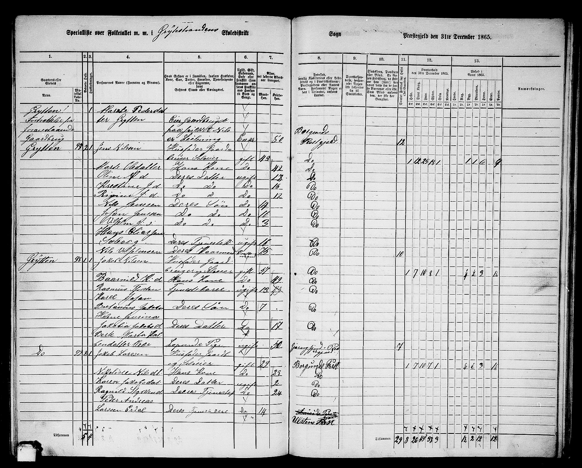 RA, 1865 census for Borgund, 1865, p. 224