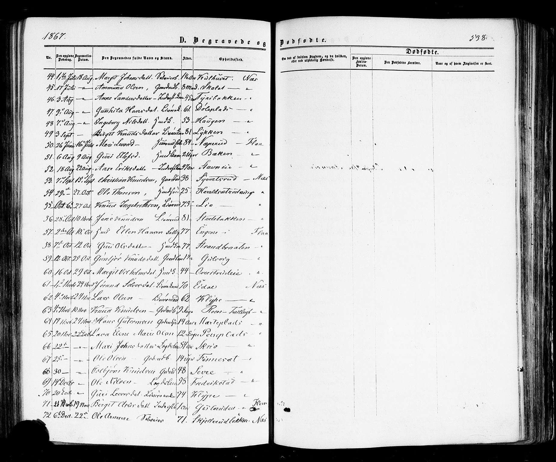 Nes kirkebøker, AV/SAKO-A-236/F/Fa/L0010: Parish register (official) no. 10, 1864-1880, p. 538