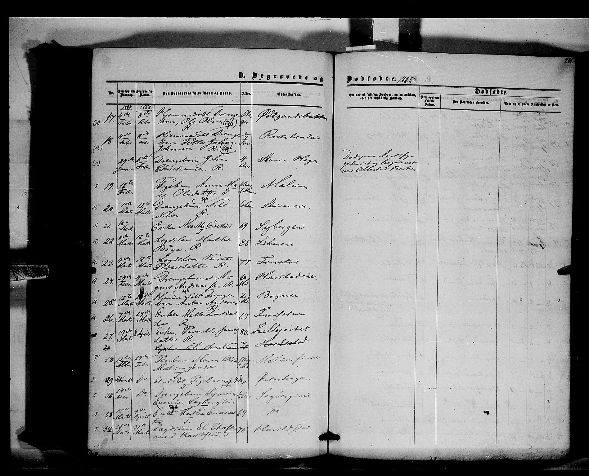 Romedal prestekontor, AV/SAH-PREST-004/K/L0005: Parish register (official) no. 5, 1862-1874, p. 261