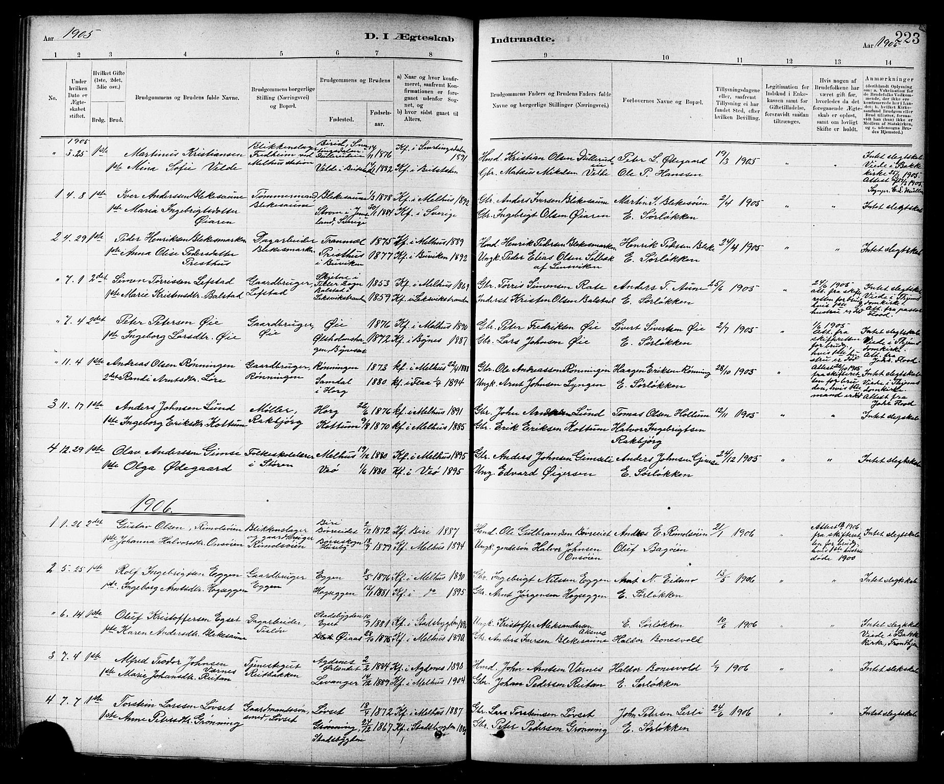 Ministerialprotokoller, klokkerbøker og fødselsregistre - Sør-Trøndelag, SAT/A-1456/691/L1094: Parish register (copy) no. 691C05, 1879-1911, p. 223