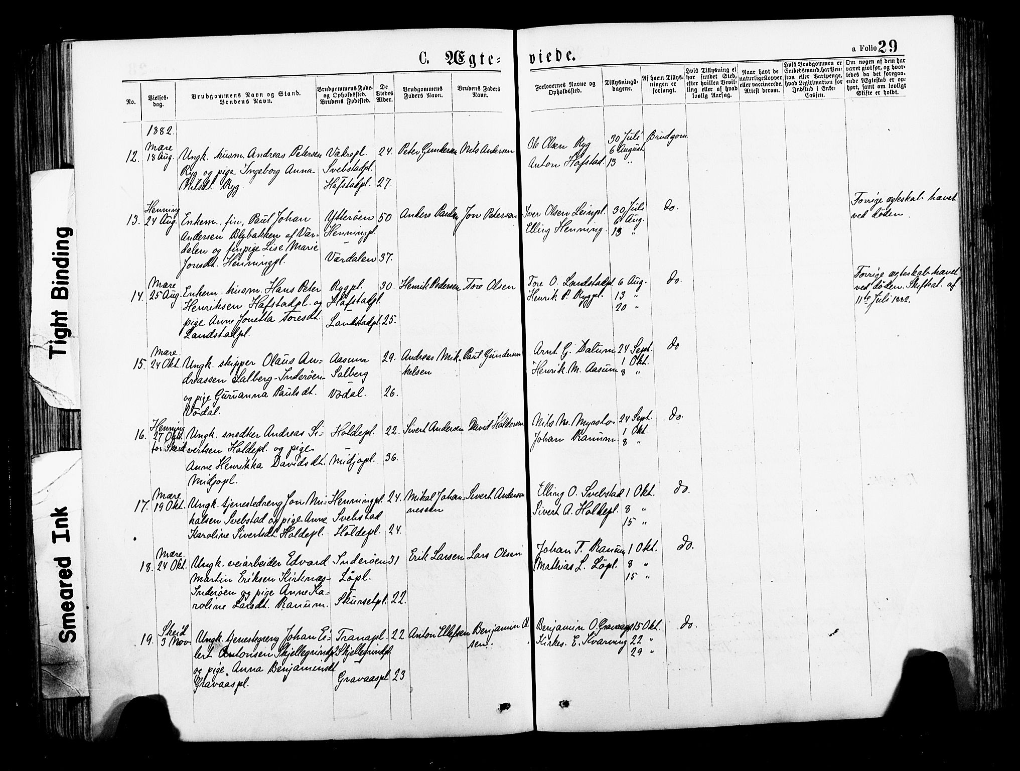 Ministerialprotokoller, klokkerbøker og fødselsregistre - Nord-Trøndelag, AV/SAT-A-1458/735/L0348: Parish register (official) no. 735A09 /1, 1873-1883, p. 29