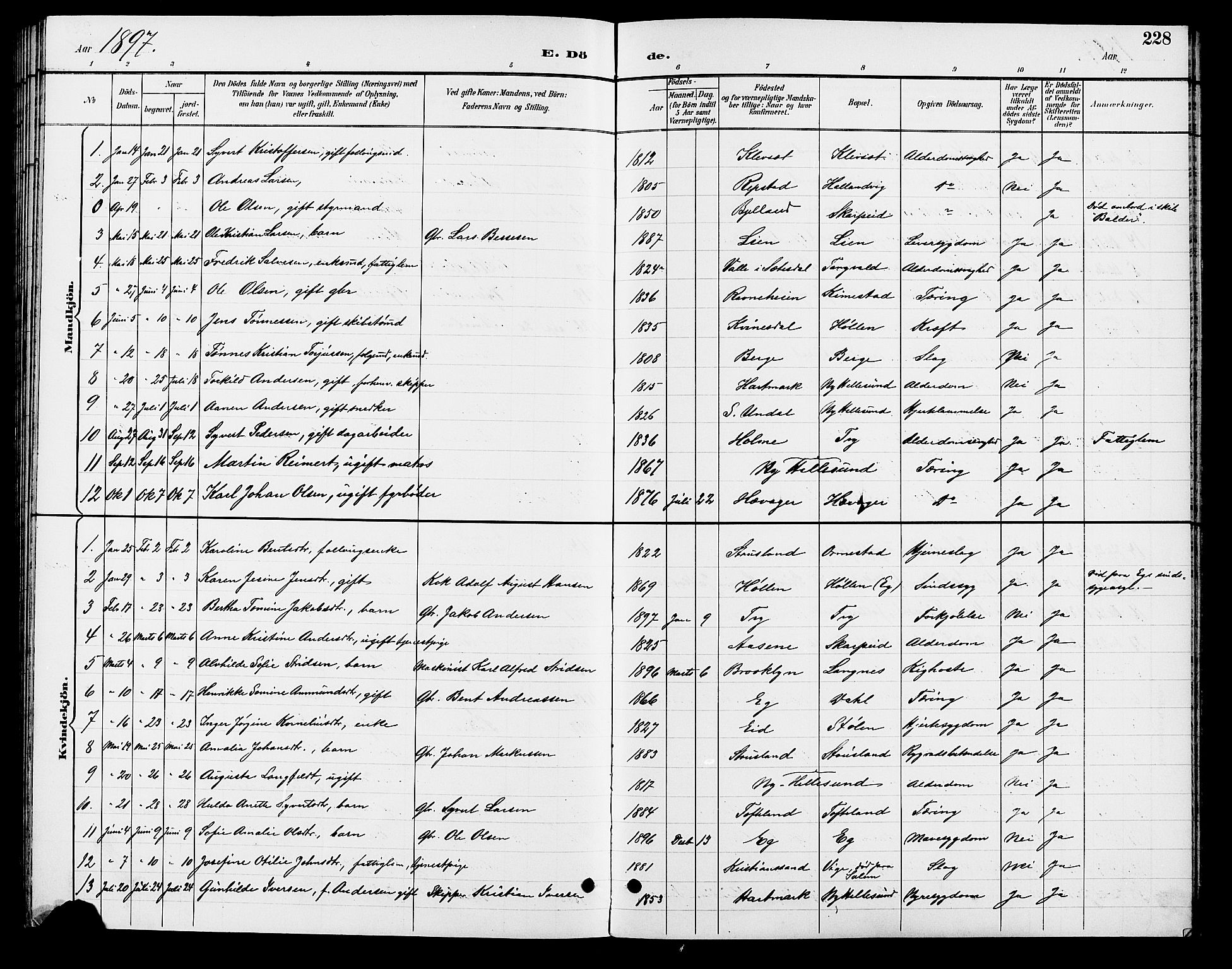 Søgne sokneprestkontor, SAK/1111-0037/F/Fb/Fbb/L0006: Parish register (copy) no. B 6, 1892-1911, p. 228