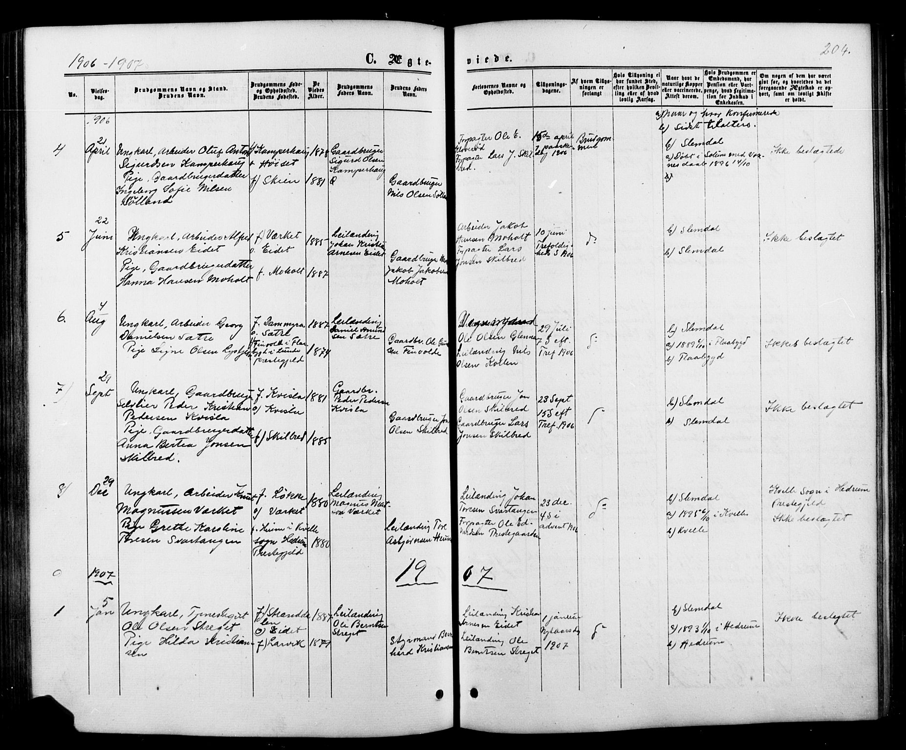Siljan kirkebøker, SAKO/A-300/G/Ga/L0002: Parish register (copy) no. 2, 1864-1908, p. 204