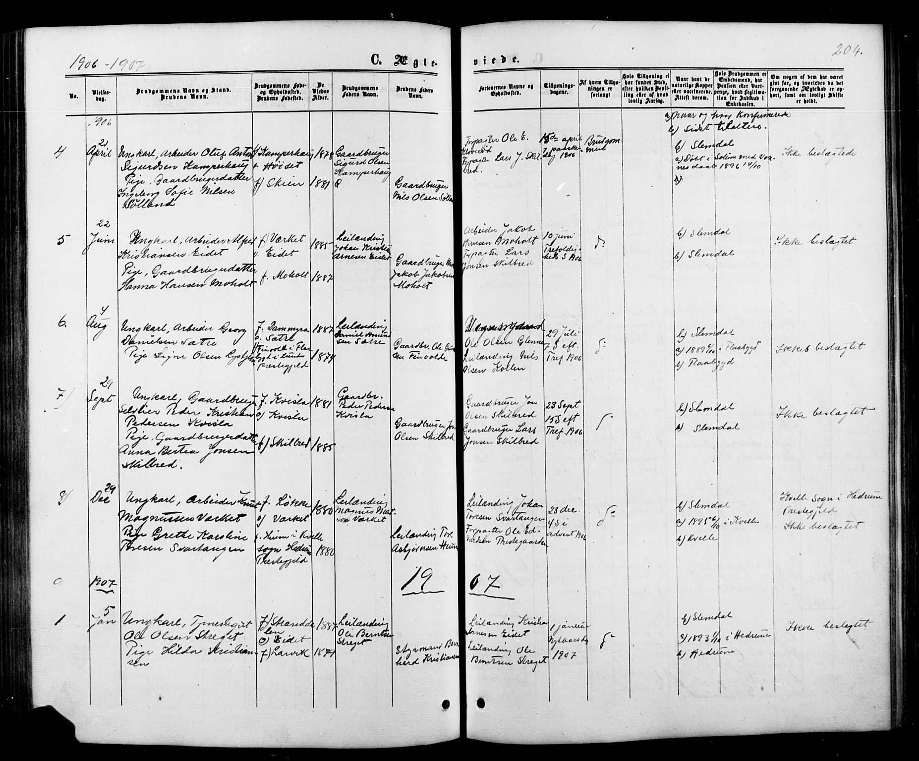 Siljan kirkebøker, AV/SAKO-A-300/G/Ga/L0002: Parish register (copy) no. 2, 1864-1908, p. 204