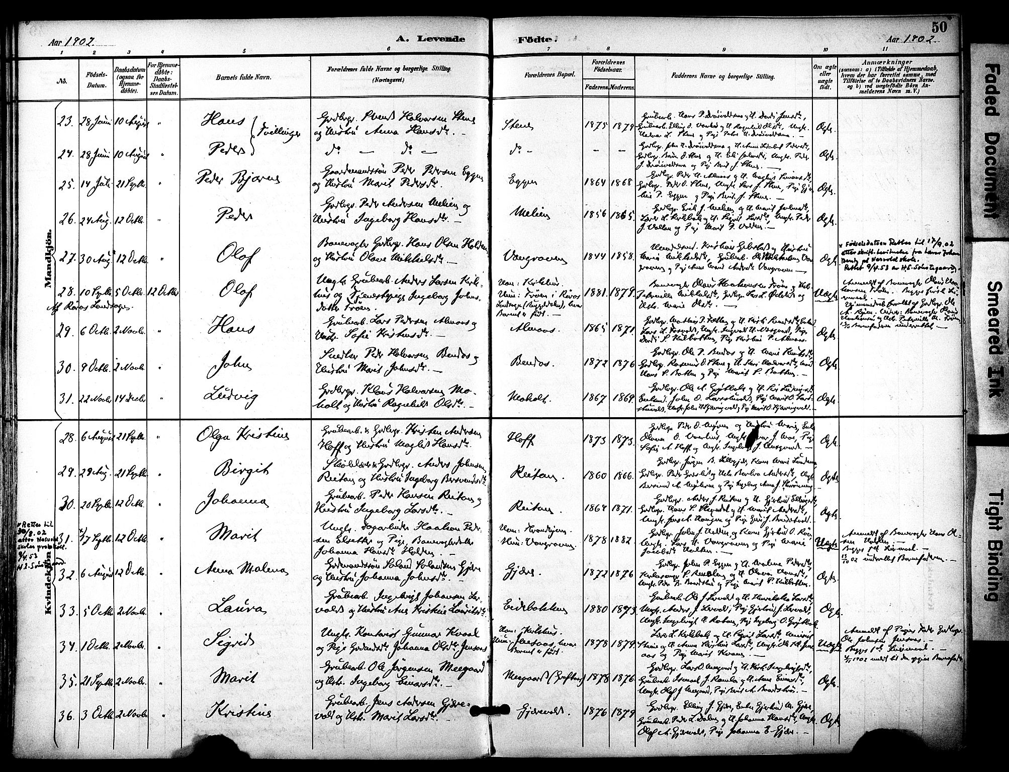 Ministerialprotokoller, klokkerbøker og fødselsregistre - Sør-Trøndelag, SAT/A-1456/686/L0984: Parish register (official) no. 686A02, 1891-1906, p. 50