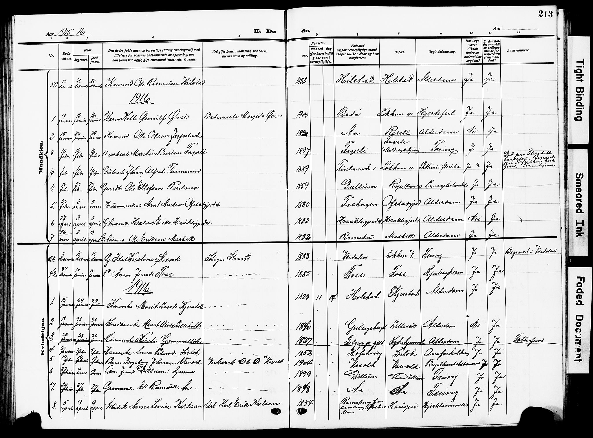 Ministerialprotokoller, klokkerbøker og fødselsregistre - Sør-Trøndelag, SAT/A-1456/672/L0865: Parish register (copy) no. 672C04, 1914-1928, p. 213