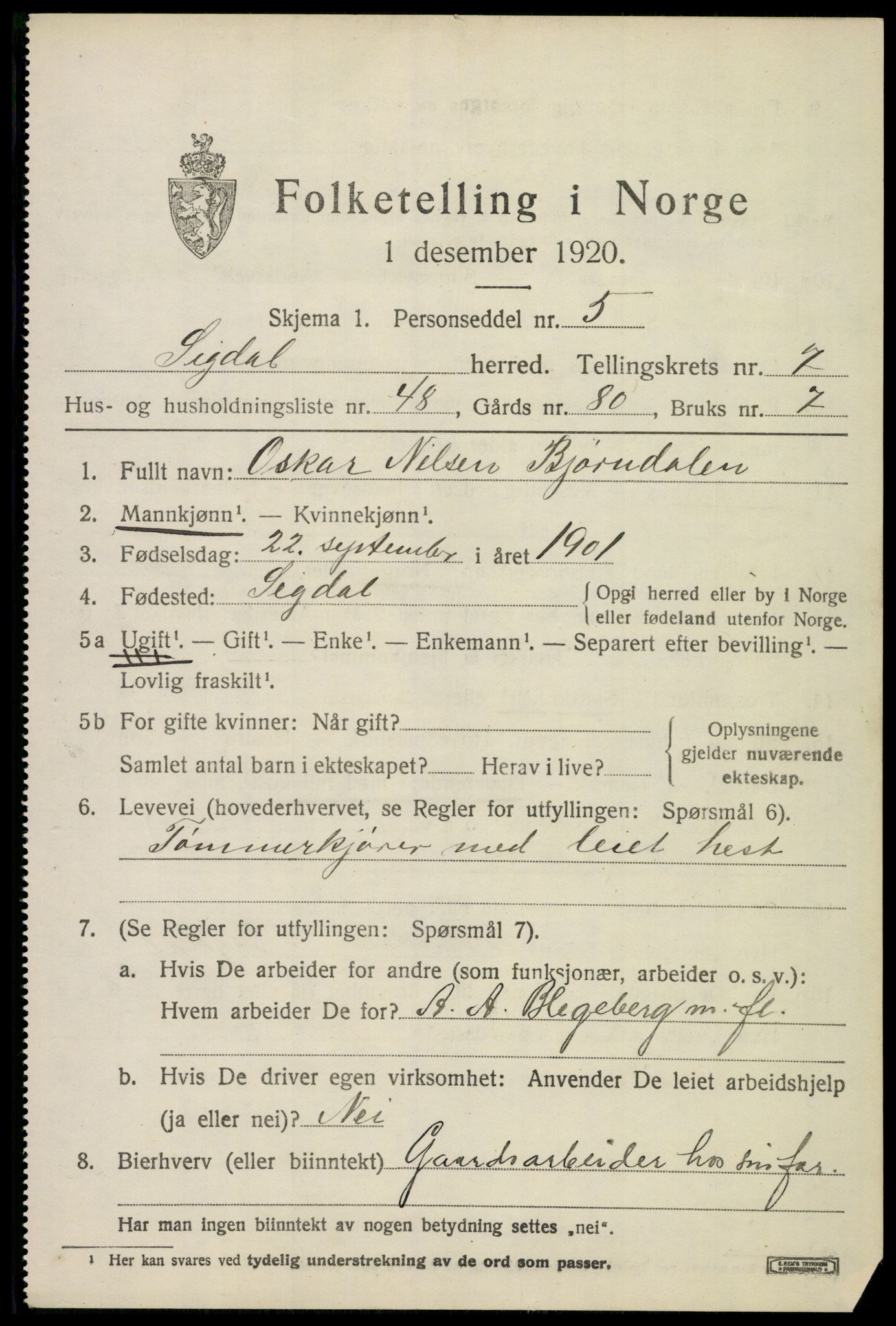 SAKO, 1920 census for Sigdal, 1920, p. 5994