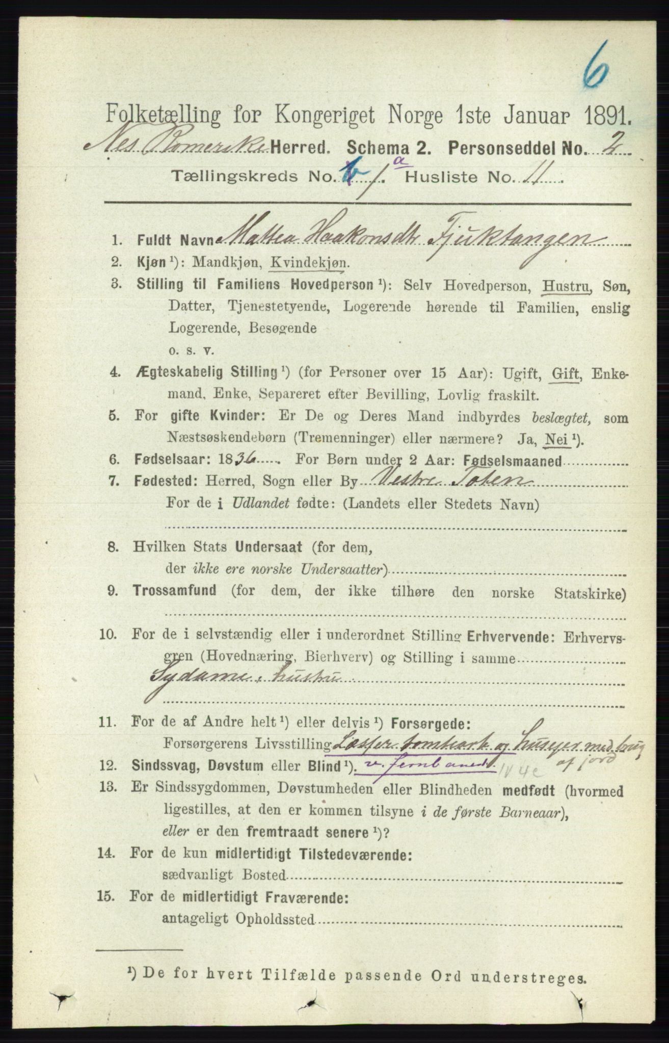 RA, 1891 census for 0236 Nes, 1891, p. 176