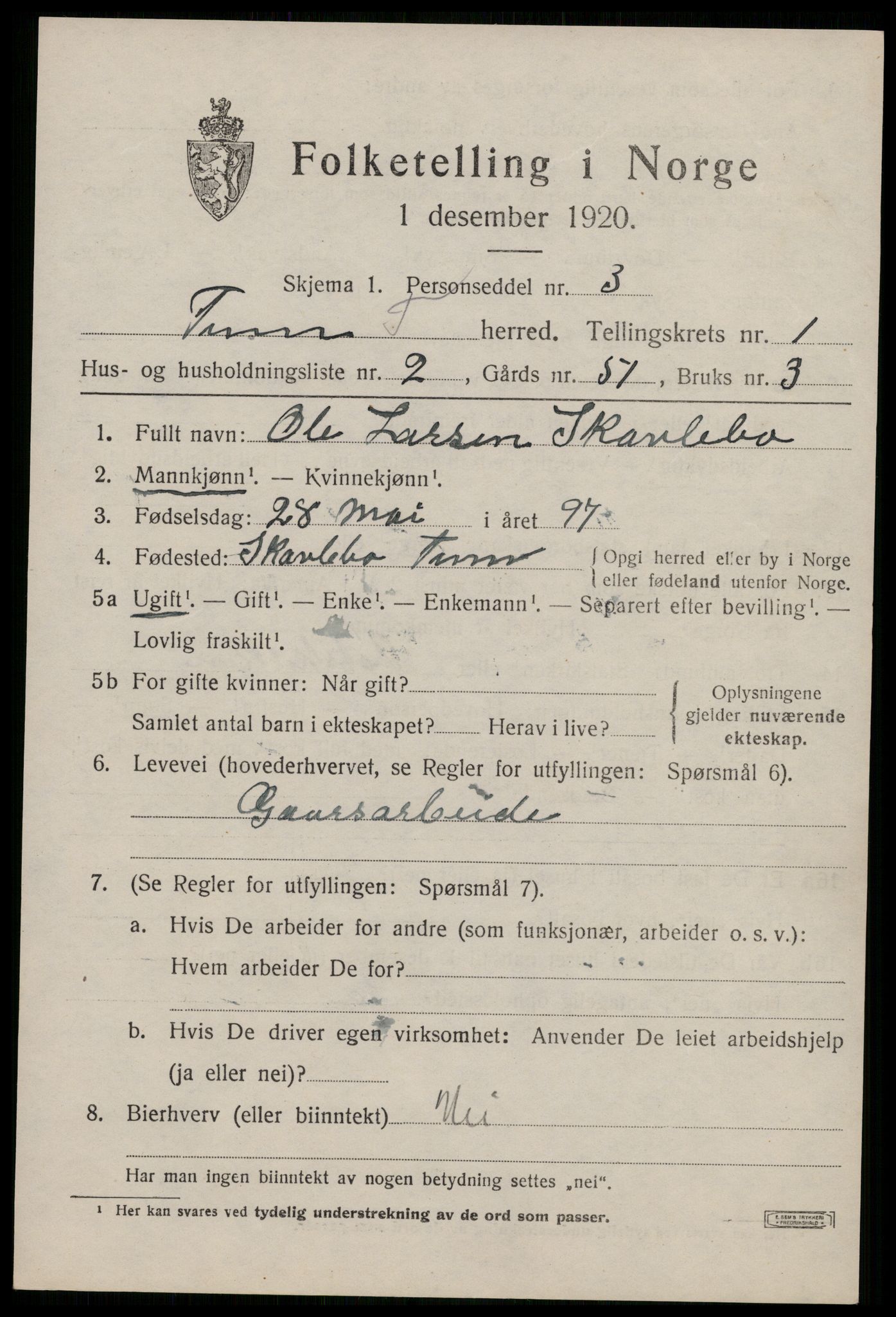 SAKO, 1920 census for Tinn, 1920, p. 2704