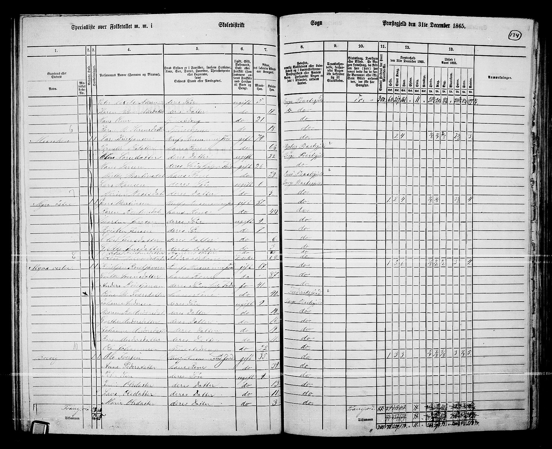 RA, 1865 census for Borge, 1865, p. 123