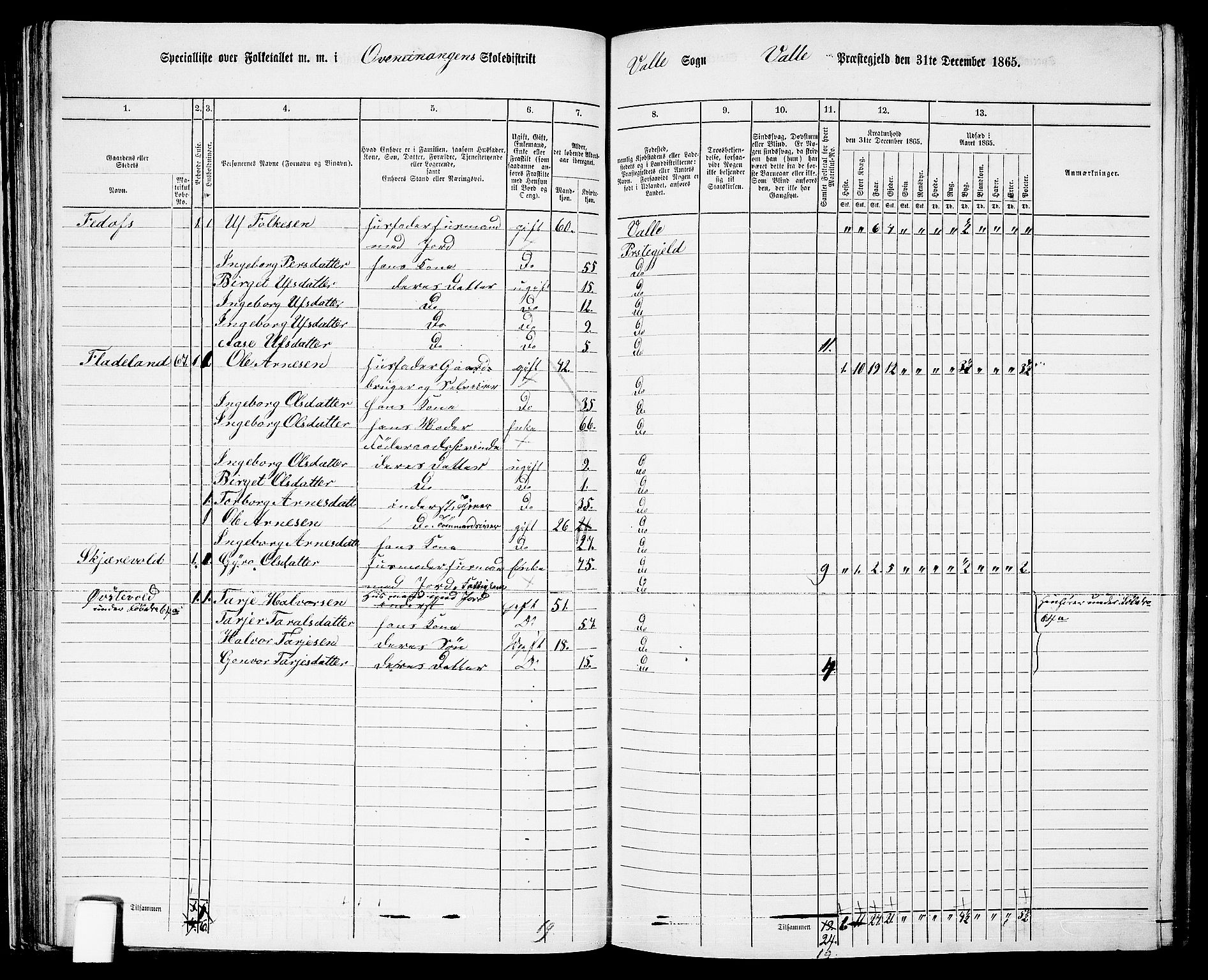 RA, 1865 census for Valle, 1865, p. 63