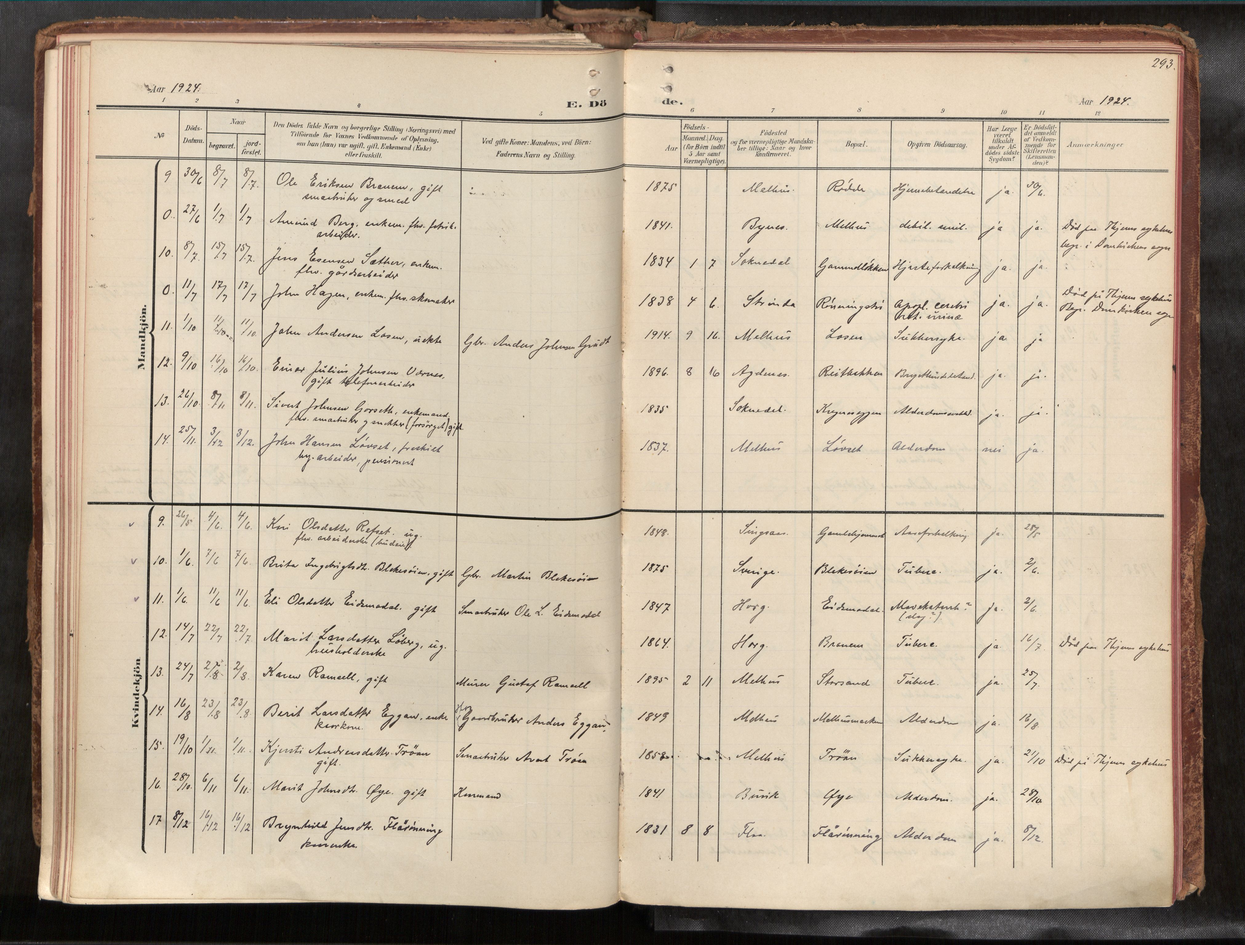 Ministerialprotokoller, klokkerbøker og fødselsregistre - Sør-Trøndelag, SAT/A-1456/691/L1085b: Parish register (official) no. 691A18, 1908-1930, p. 293
