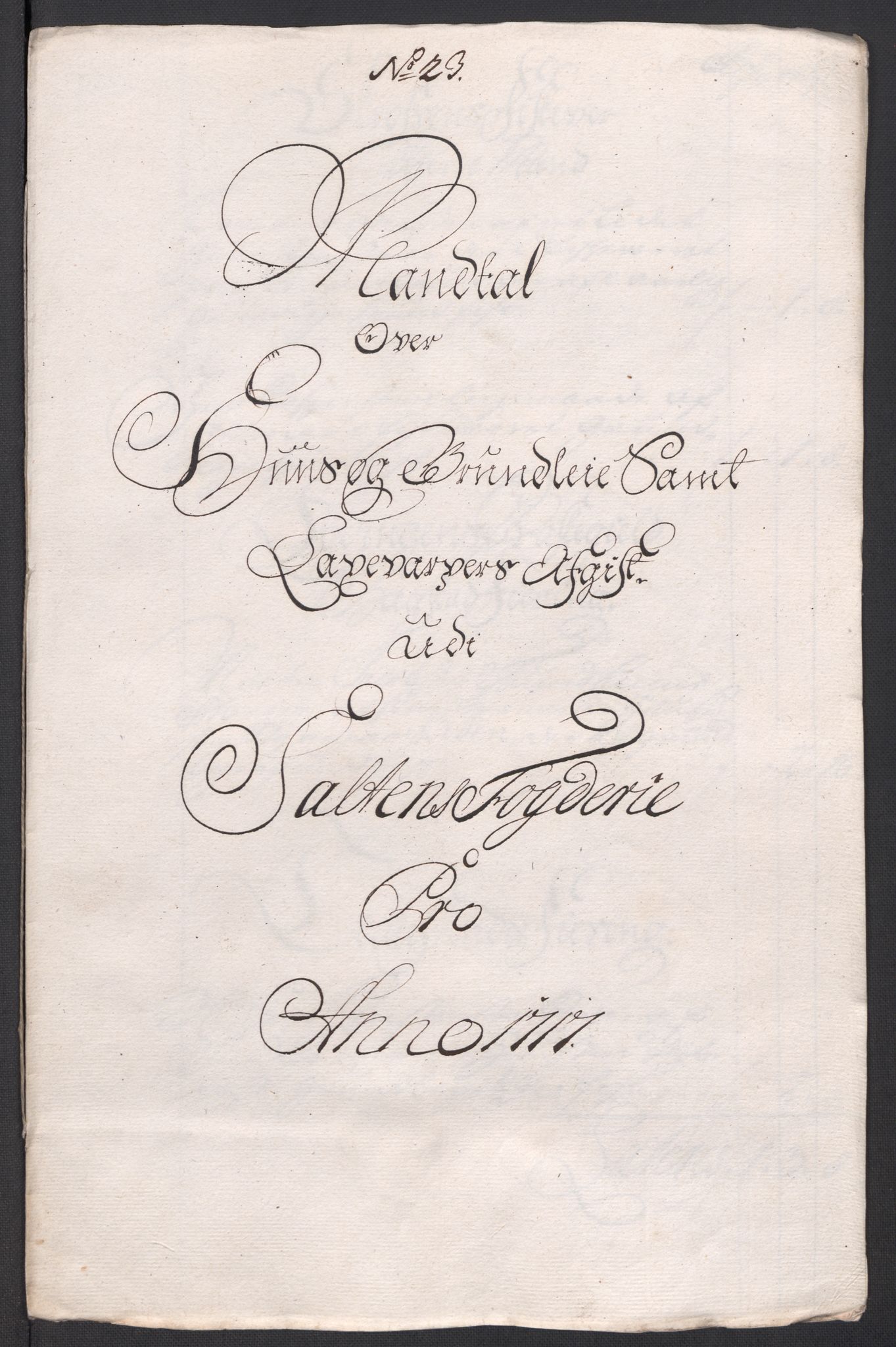 Rentekammeret inntil 1814, Reviderte regnskaper, Fogderegnskap, AV/RA-EA-4092/R66/L4587: Fogderegnskap Salten, 1717, p. 261