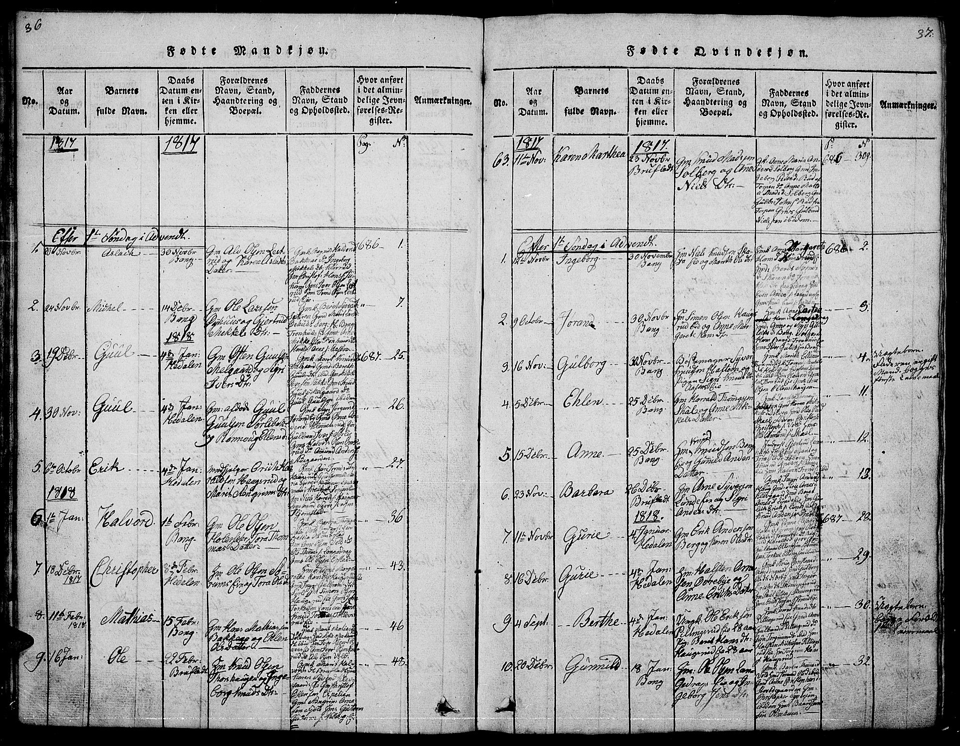 Sør-Aurdal prestekontor, SAH/PREST-128/H/Ha/Hab/L0001: Parish register (copy) no. 1, 1815-1826, p. 36-37