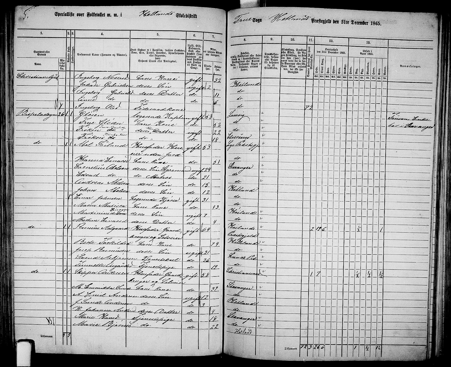 RA, 1865 census for Hetland, 1865, p. 119