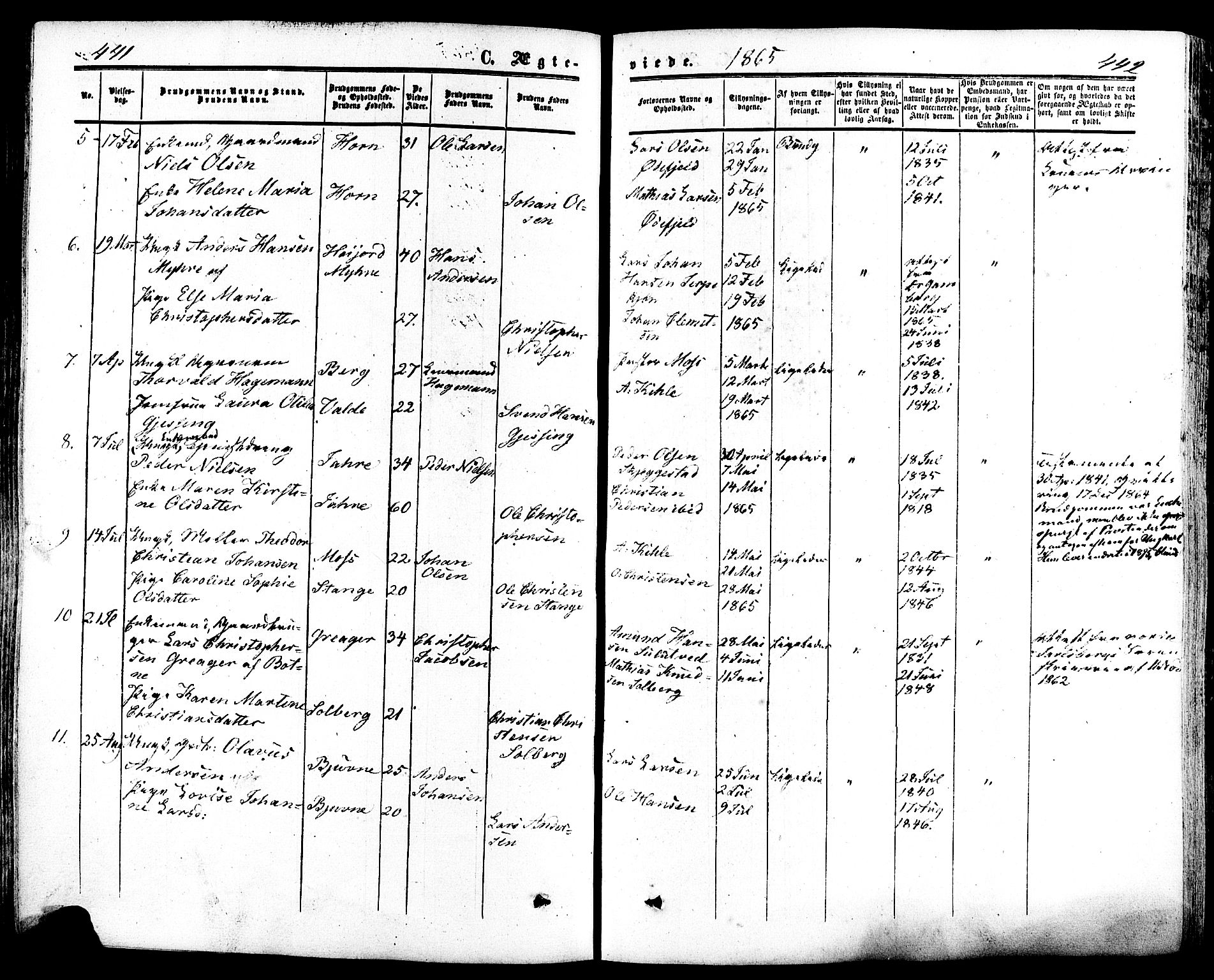 Ramnes kirkebøker, SAKO/A-314/F/Fa/L0006: Parish register (official) no. I 6, 1862-1877, p. 441-442