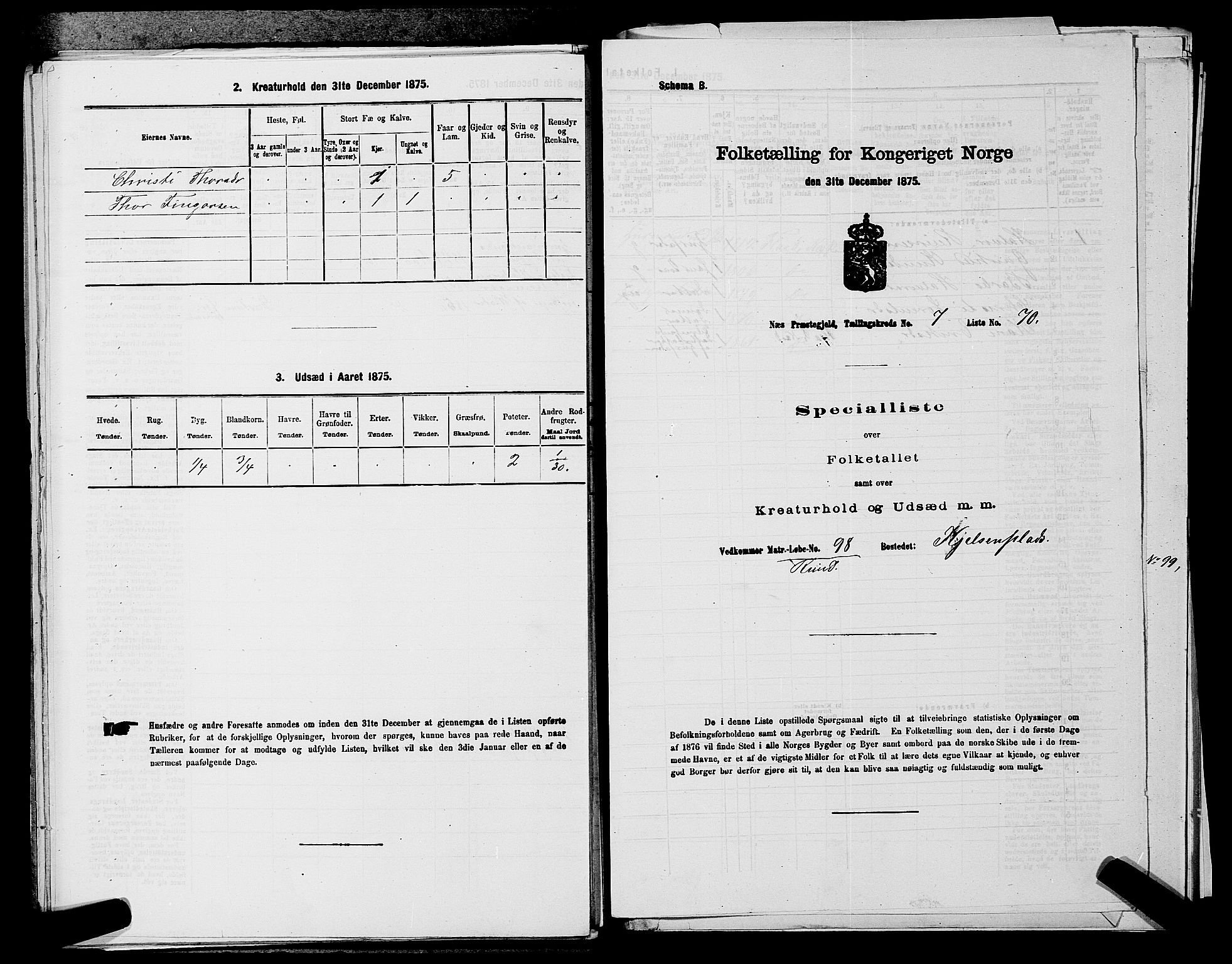 SAKO, 1875 census for 0616P Nes, 1875, p. 1317