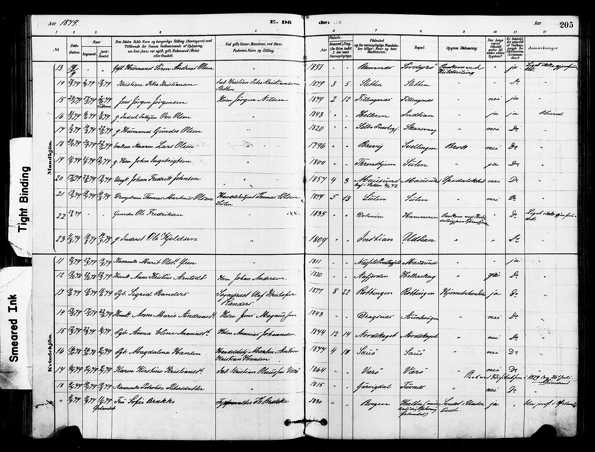 Ministerialprotokoller, klokkerbøker og fødselsregistre - Sør-Trøndelag, AV/SAT-A-1456/640/L0578: Parish register (official) no. 640A03, 1879-1889, p. 205