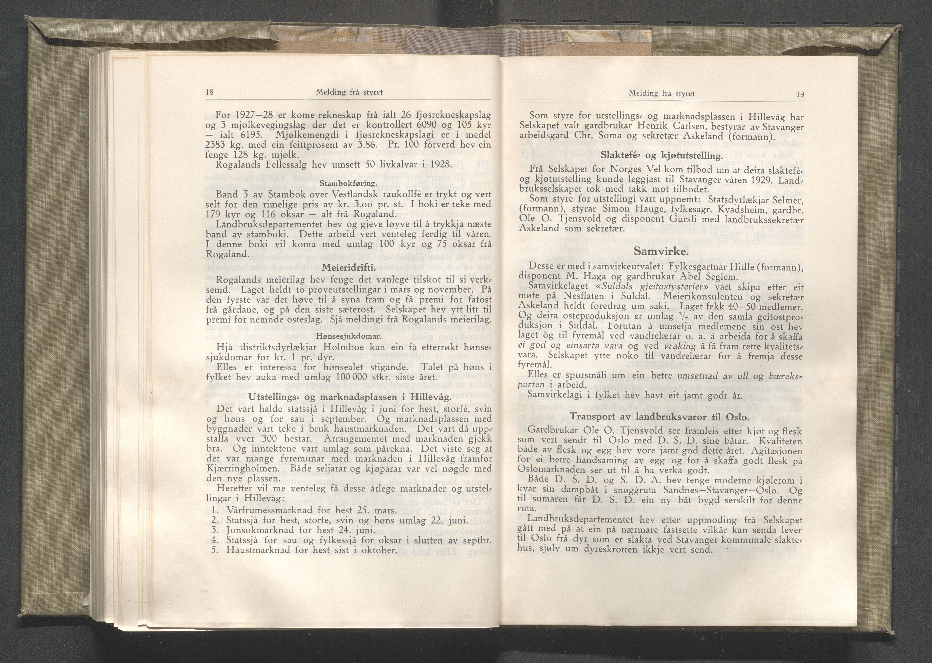 Rogaland fylkeskommune - Fylkesrådmannen , IKAR/A-900/A/Aa/Aaa/L0048: Møtebok , 1929, p. 18-19