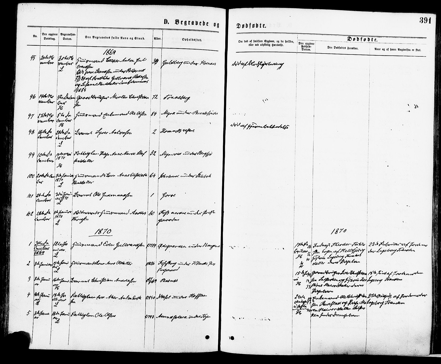 Høland prestekontor Kirkebøker, SAO/A-10346a/F/Fa/L0012.a: Parish register (official) no. I 12A, 1869-1879, p. 391