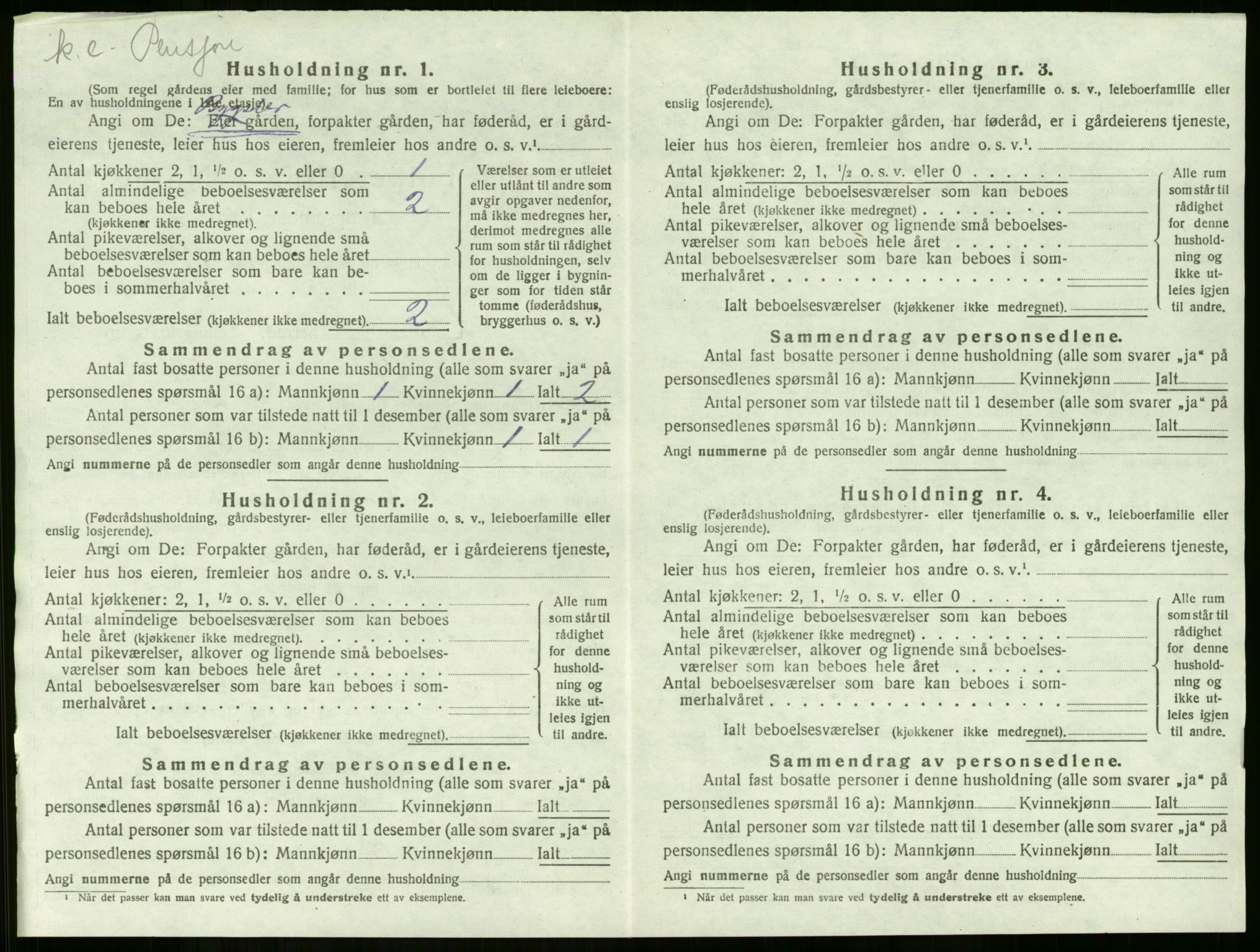 SAKO, 1920 census for Lier, 1920, p. 2004