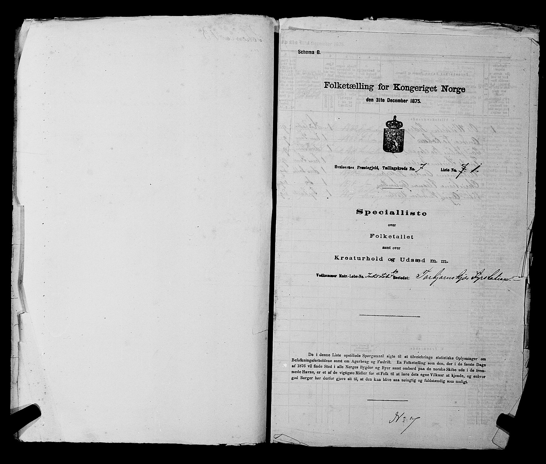 RA, 1875 census for 0111P Hvaler, 1875, p. 976