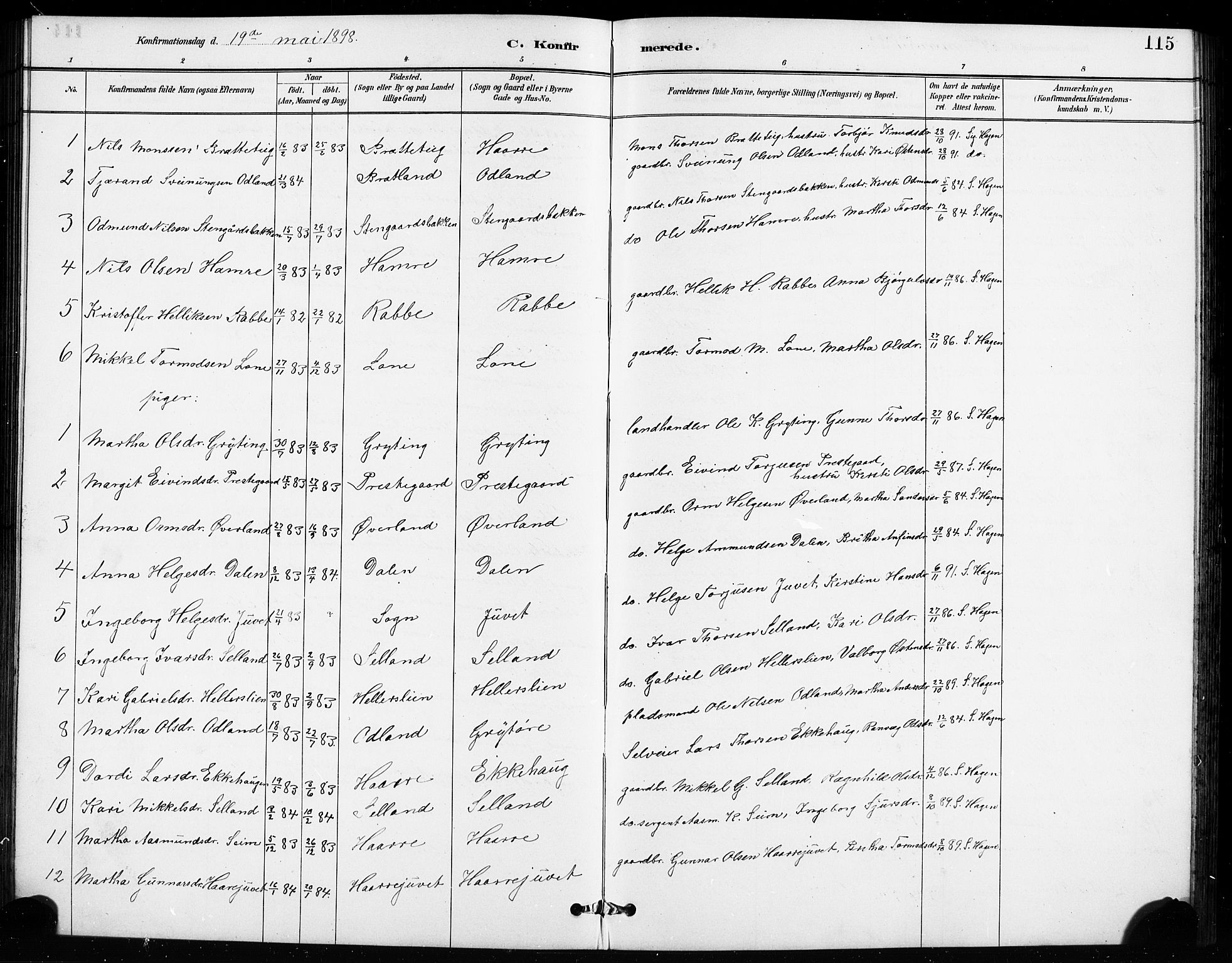 Røldal sokneprestembete, SAB/A-100247: Parish register (copy) no. A 3, 1887-1917, p. 115