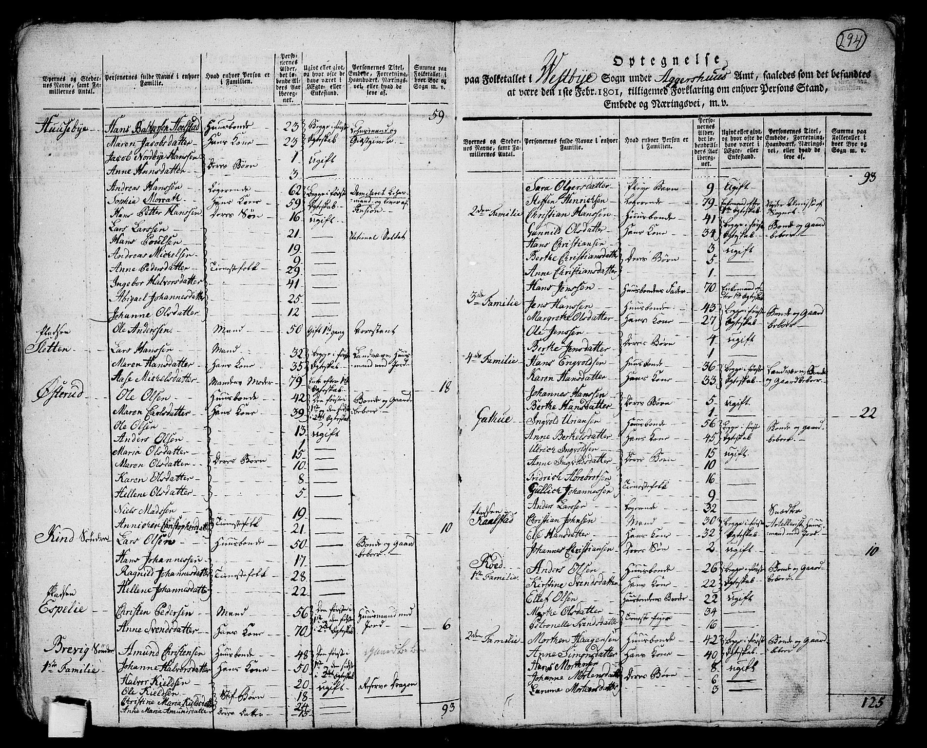 RA, 1801 census for 0211P Vestby, 1801, p. 293b-294a